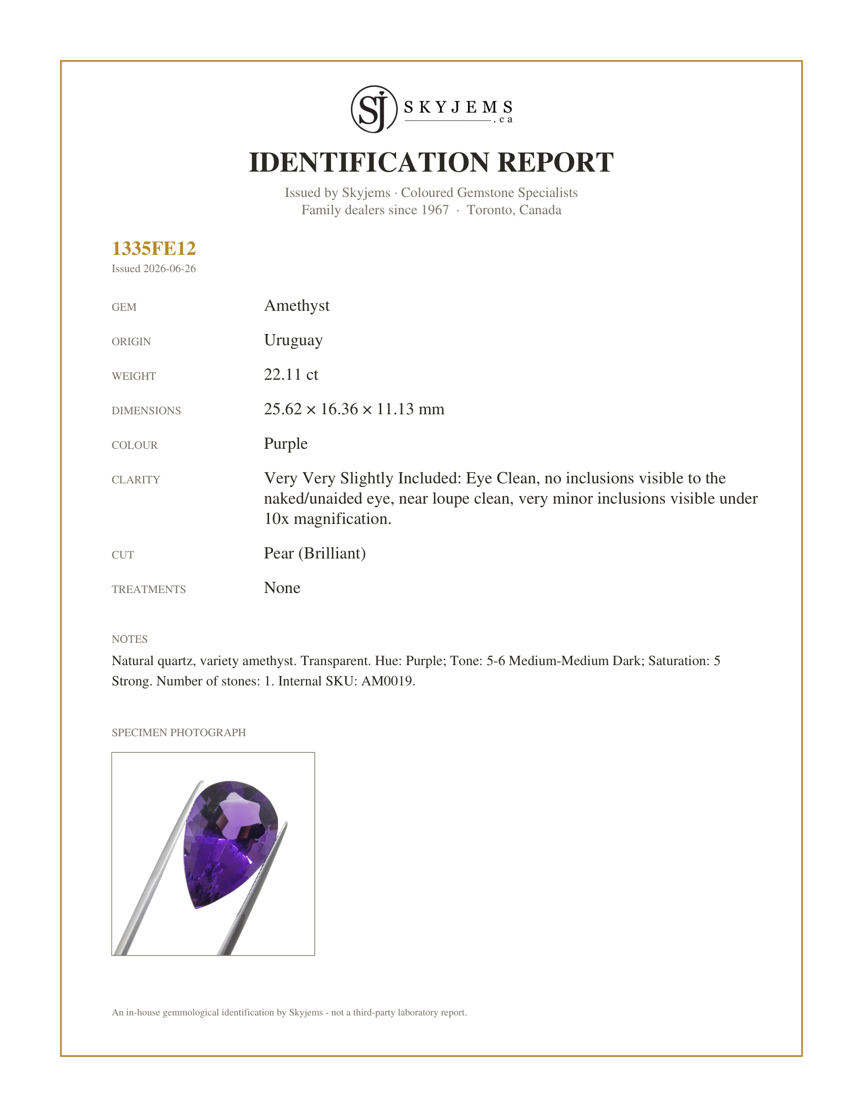 Skyjems Identification Report for AM0019 — 22.11ct Pear Purple Amethyst from Uruguay