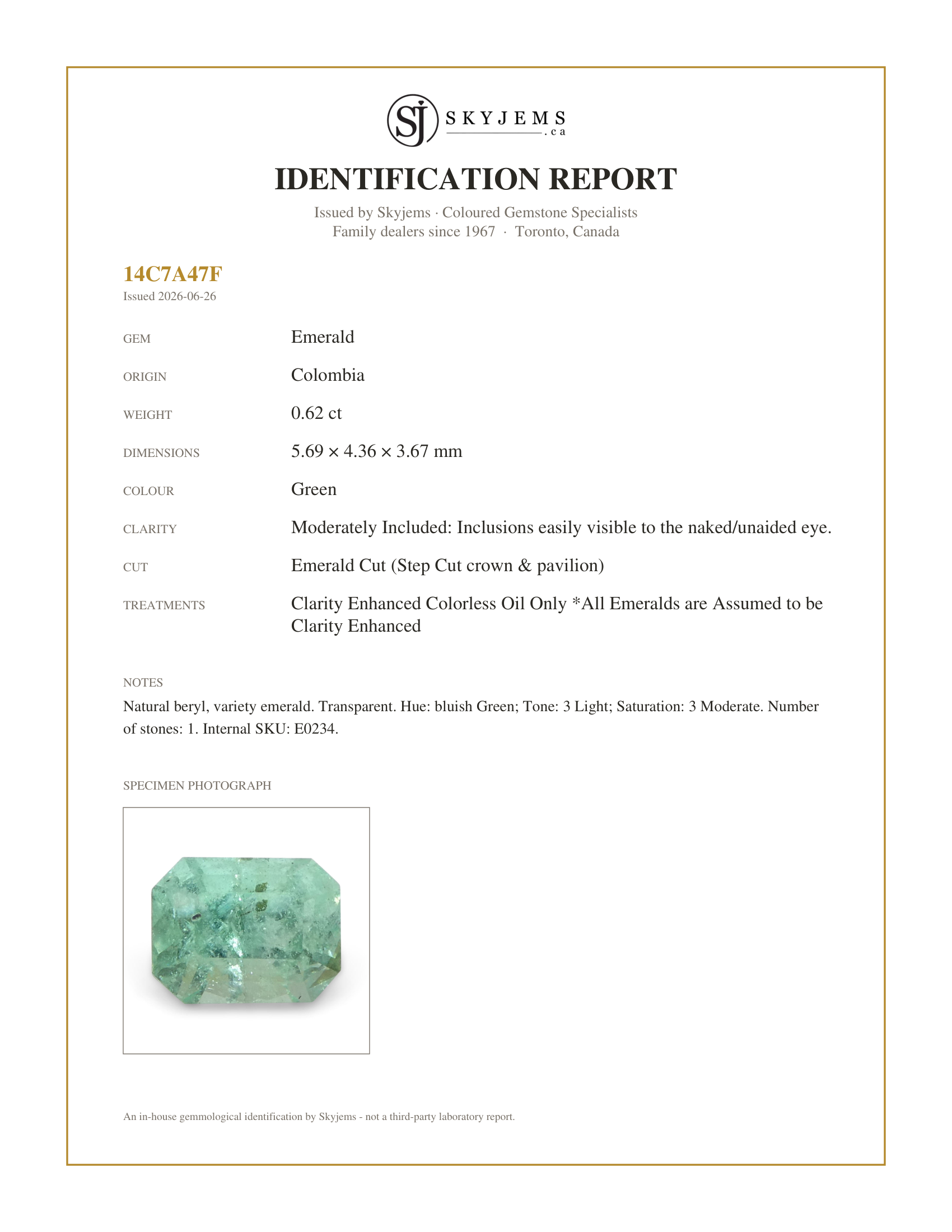 Skyjems Identification Report for E0234 — 0.62ct Emerald Cut Green Emerald from Colombia