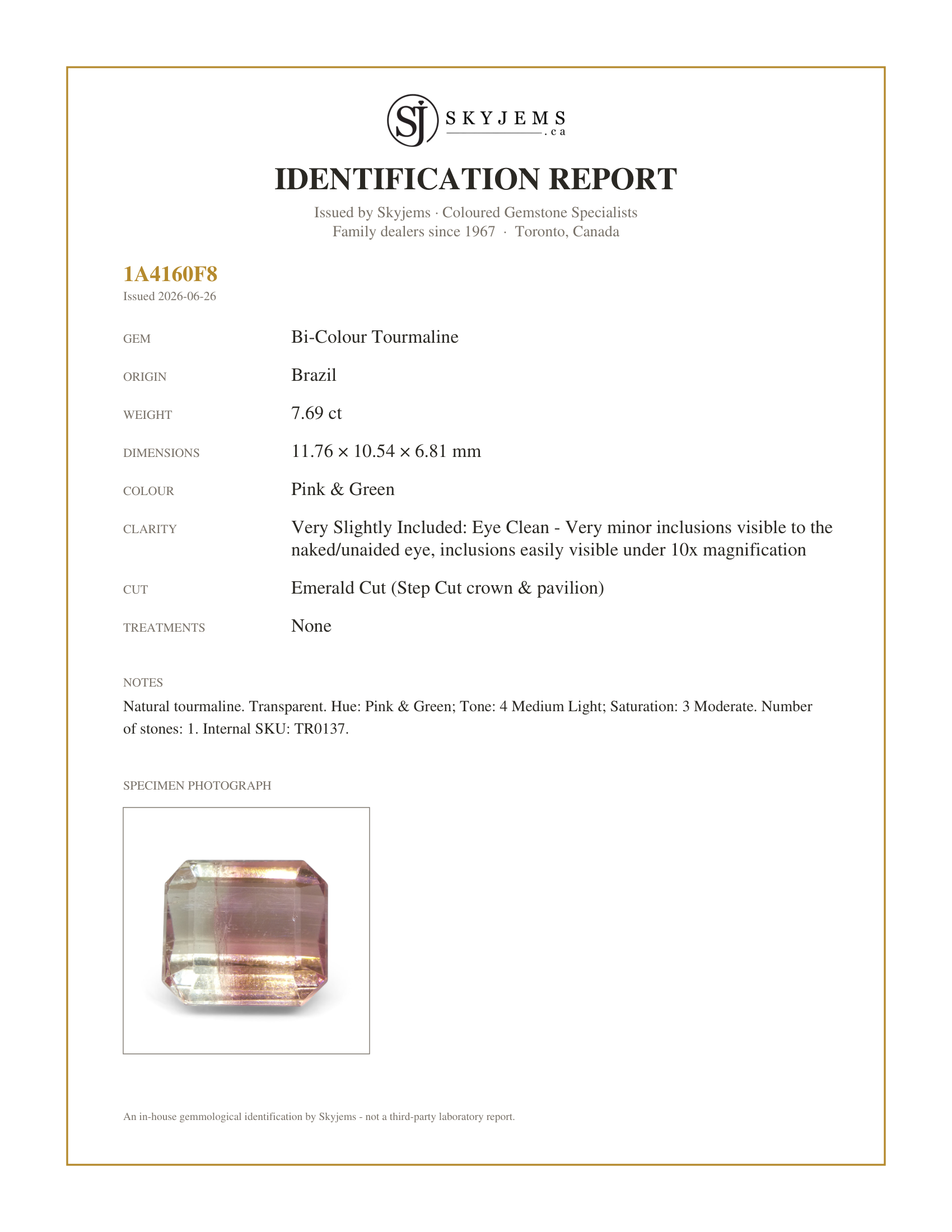 Skyjems Identification Report for TR0137 — 7.69ct Emerald Cut Pink & Green Bi-Colour Tourmaline