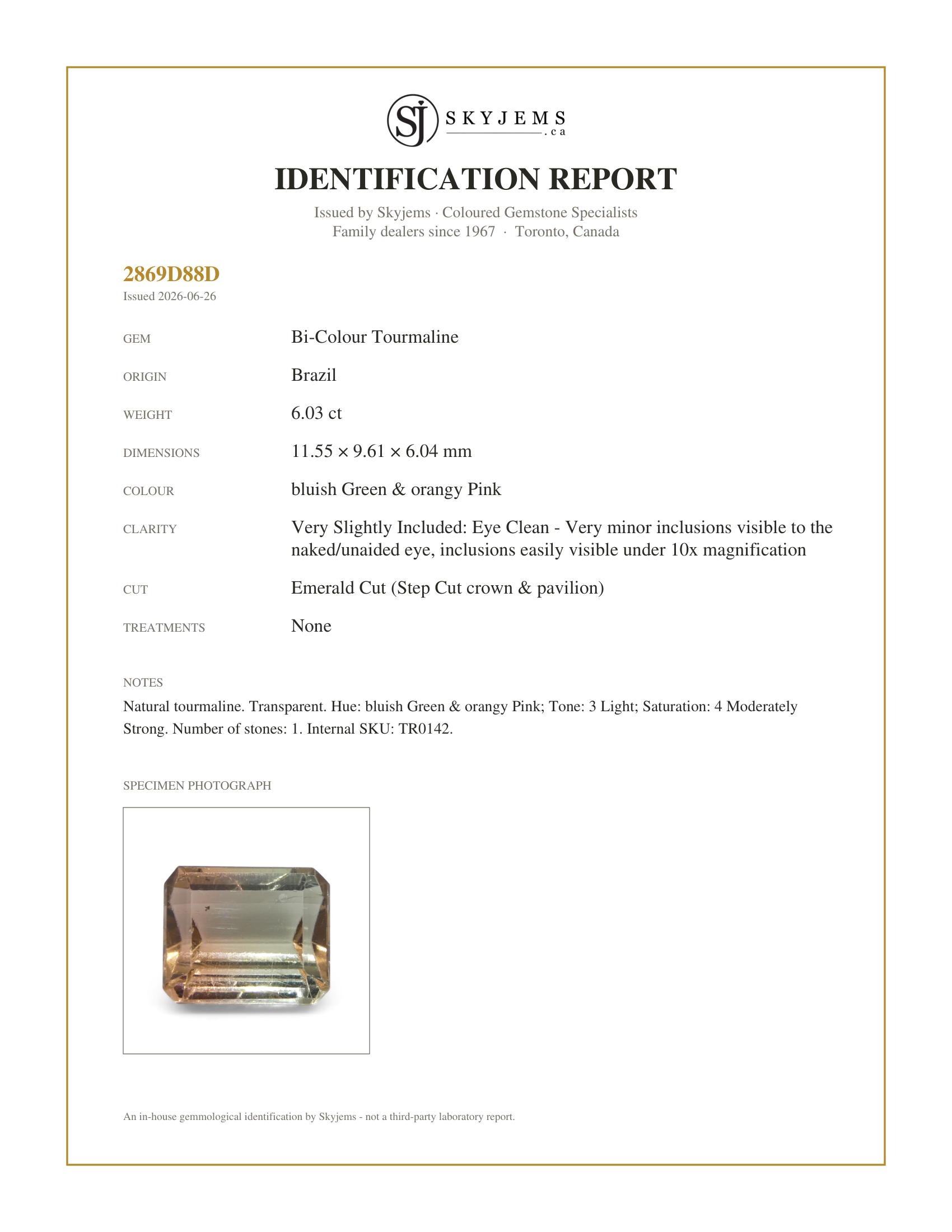 Skyjems Identification Report for TR0142 — 6.03ct Emerald Cut Green & Pink Bi-Colour Tourmaline