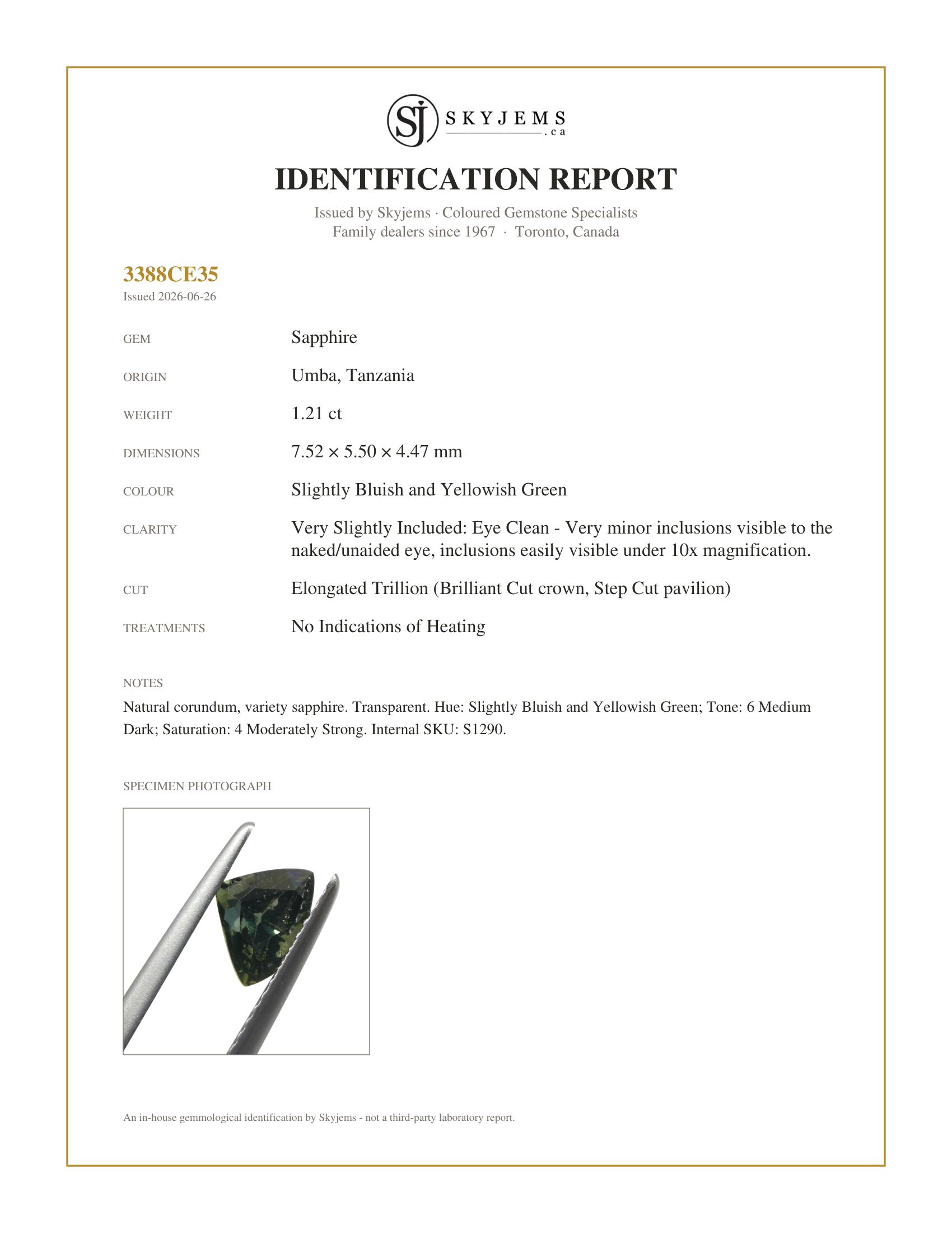 Skyjems Identification Report for S1290 — 1.21ct Elongated Trillion Green Sapphire from Umba, Tanzania, Unheated