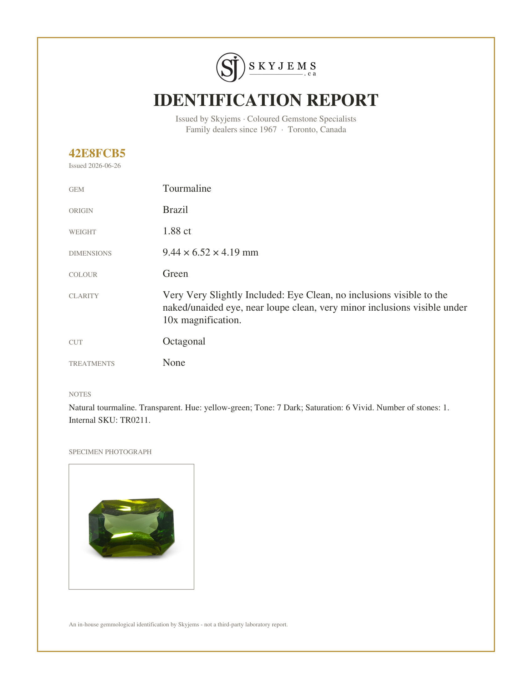 Skyjems Identification Report for TR0211 — 1.88ct Scissor Cut/Octagonal Green Tourmaline
