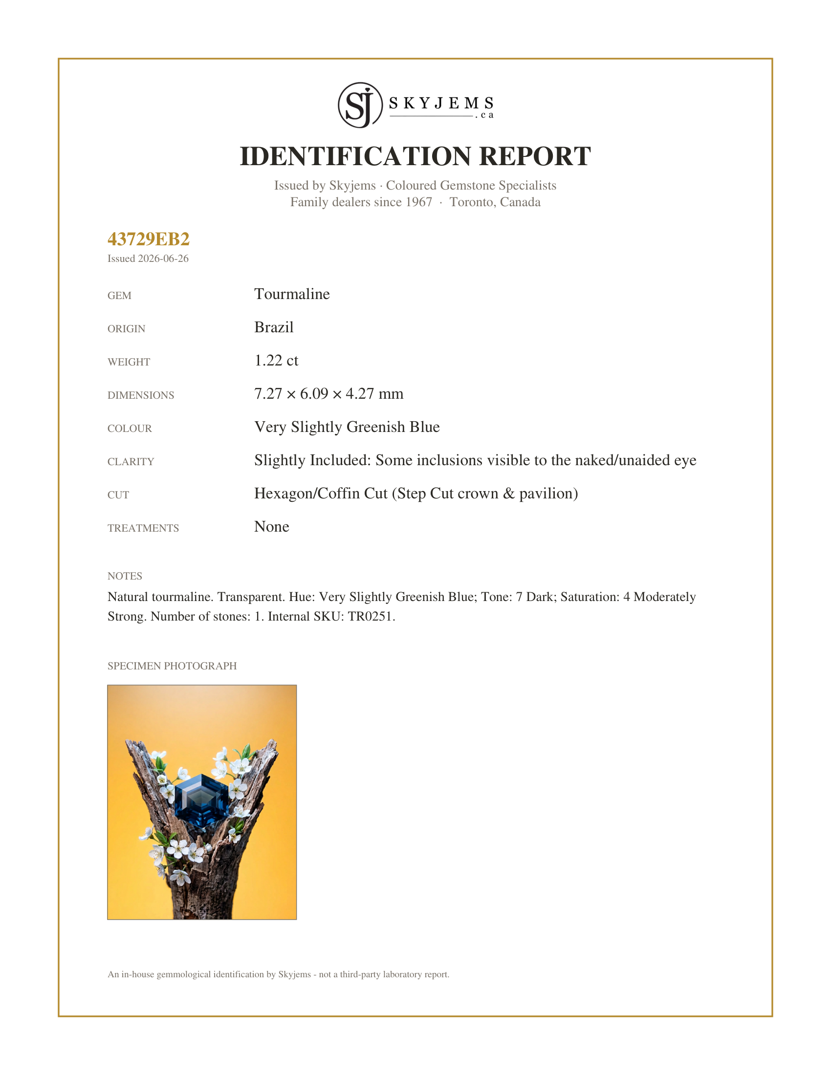 Skyjems Identification Report for TR0251 — 1.22ct Hexagon/Coffin Cut Blue Indicolite Tourmaline