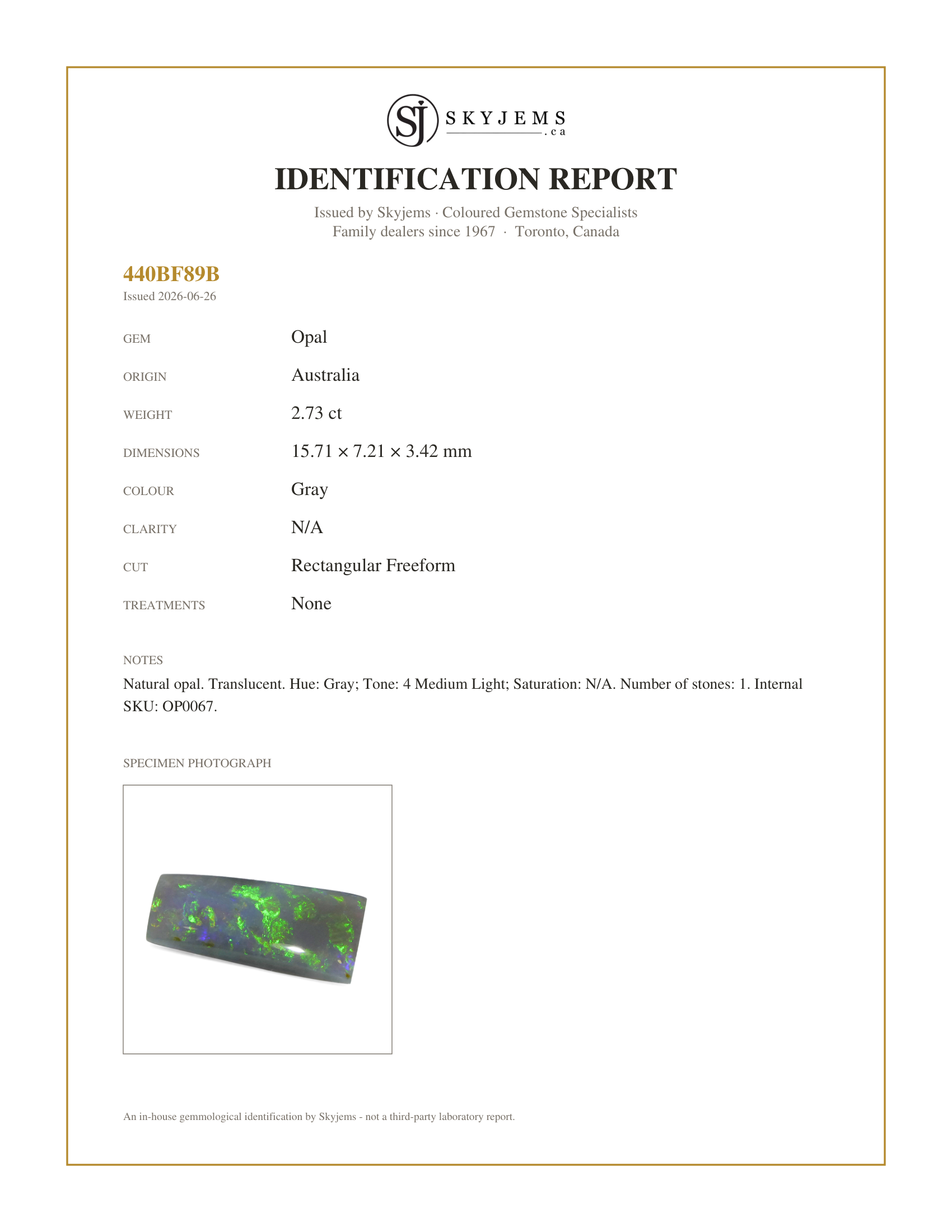 Skyjems Identification Report for OP0067 — 2.73ct Rectangular Freeform Cabochon Gray Opal from Australia