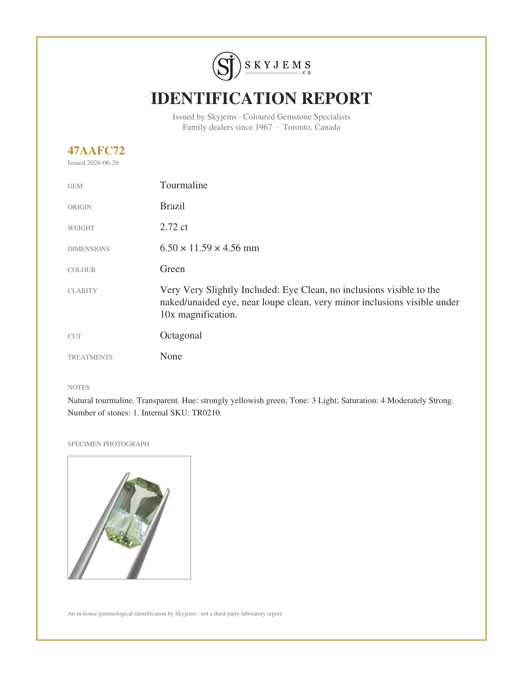 Skyjems Identification Report for TR0210 — 2.72ct Octagonal Green Tourmaline