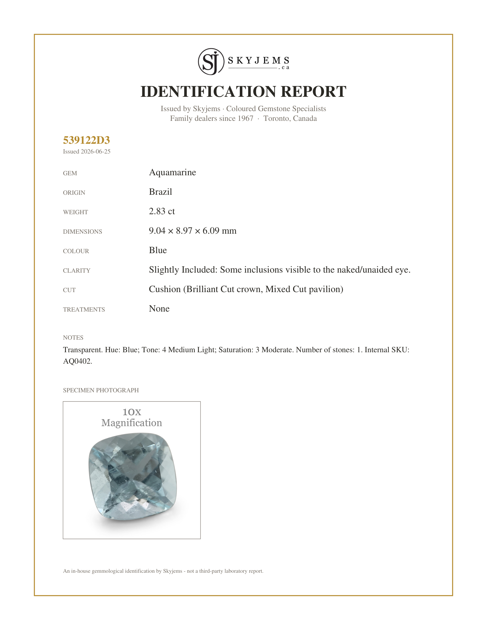 Skyjems Identification Report for AQ0402 — 2.83ct Cushion Aquamarine