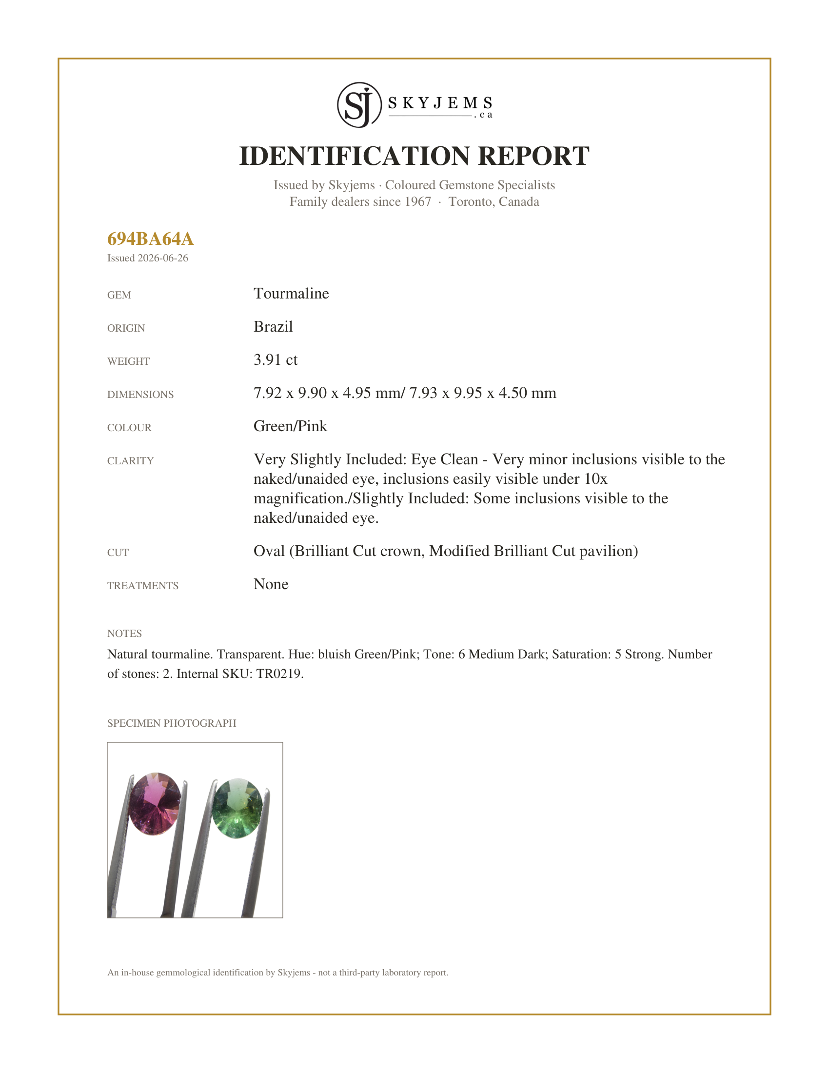 Skyjems Identification Report for TR0219 — 3.91ct Pair Oval Green/Pink Tourmaline