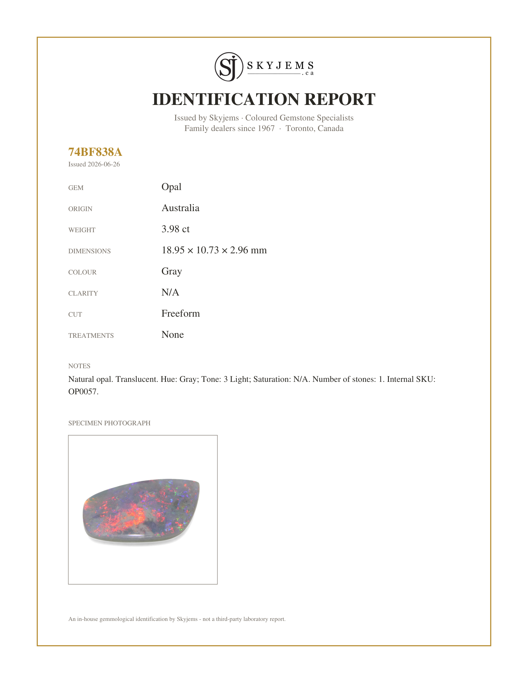 Skyjems Identification Report for OP0057 — 3.98ct Freeform Cabochon Gray Opal from Australia