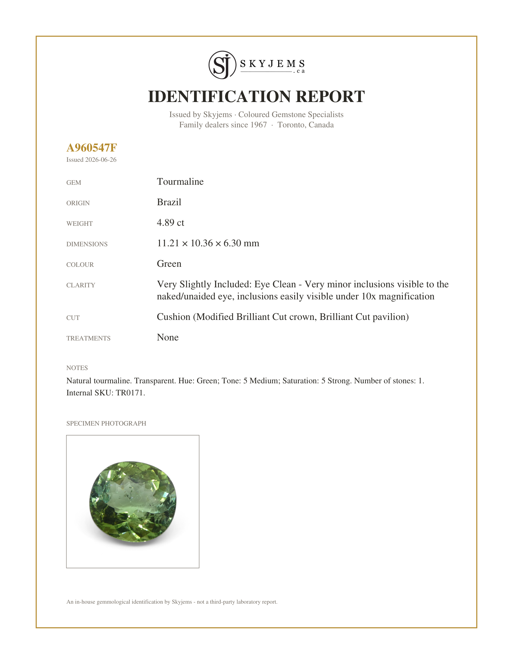 Skyjems Identification Report for TR0171 — 4.89ct Cushion Green Tourmaline