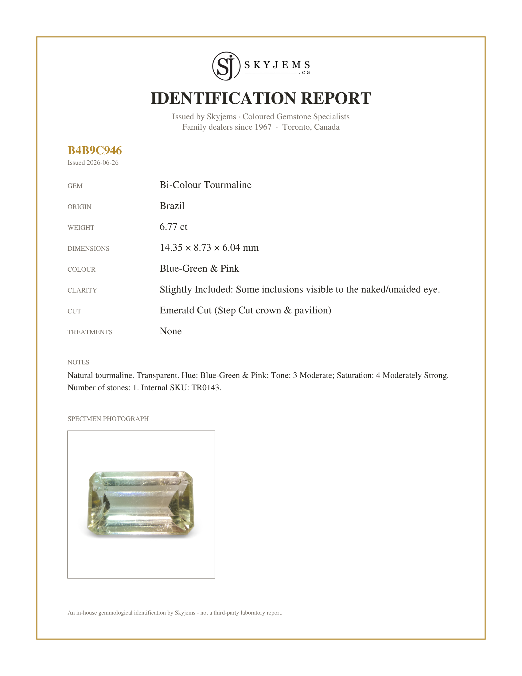 Skyjems Identification Report for TR0143 — 6.77ct Emerald Cut Blue-Green & Pink Bi-Colour Tourmaline