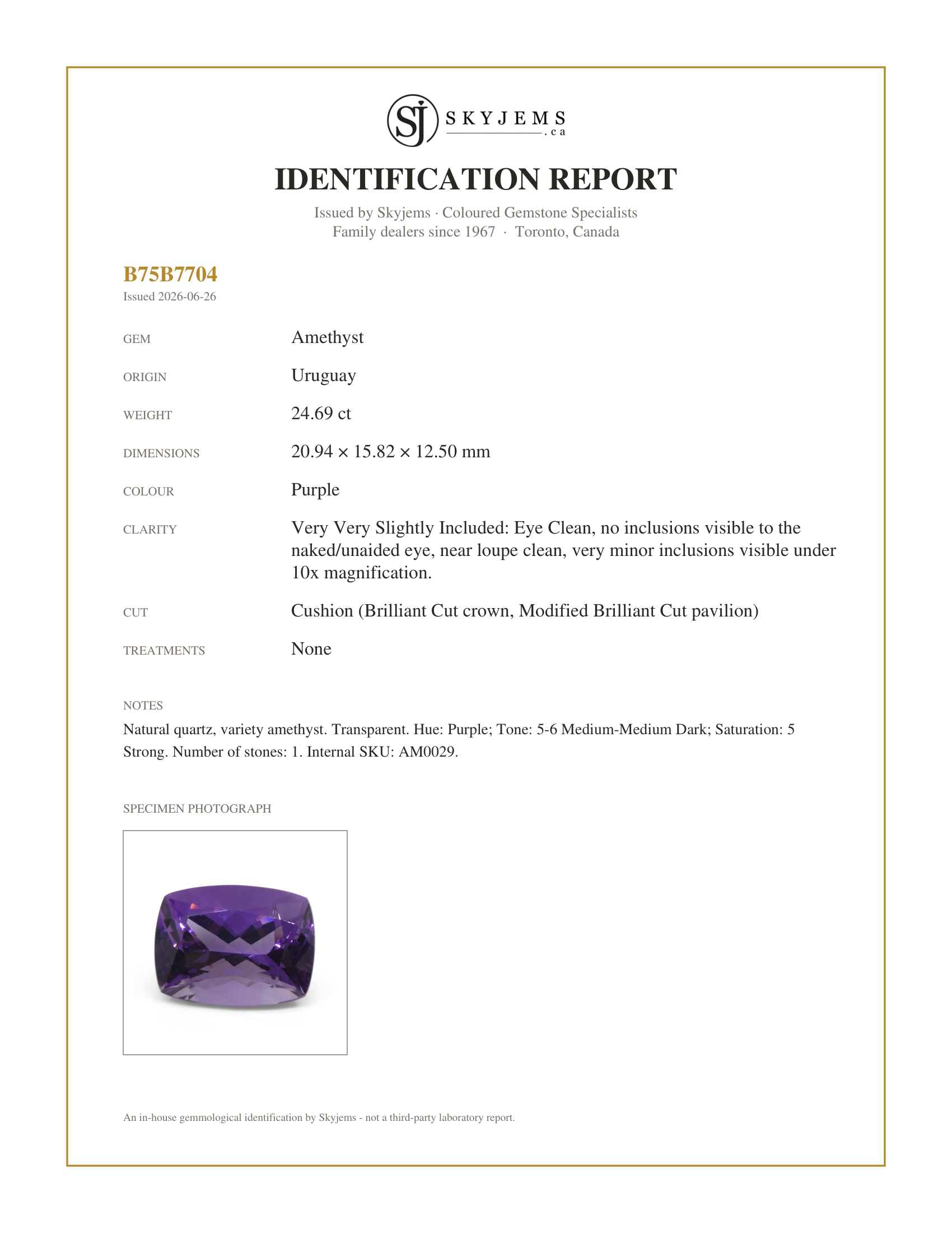Skyjems Identification Report for AM0029 — 24.69ct Cushion Purple Amethyst from Uruguay