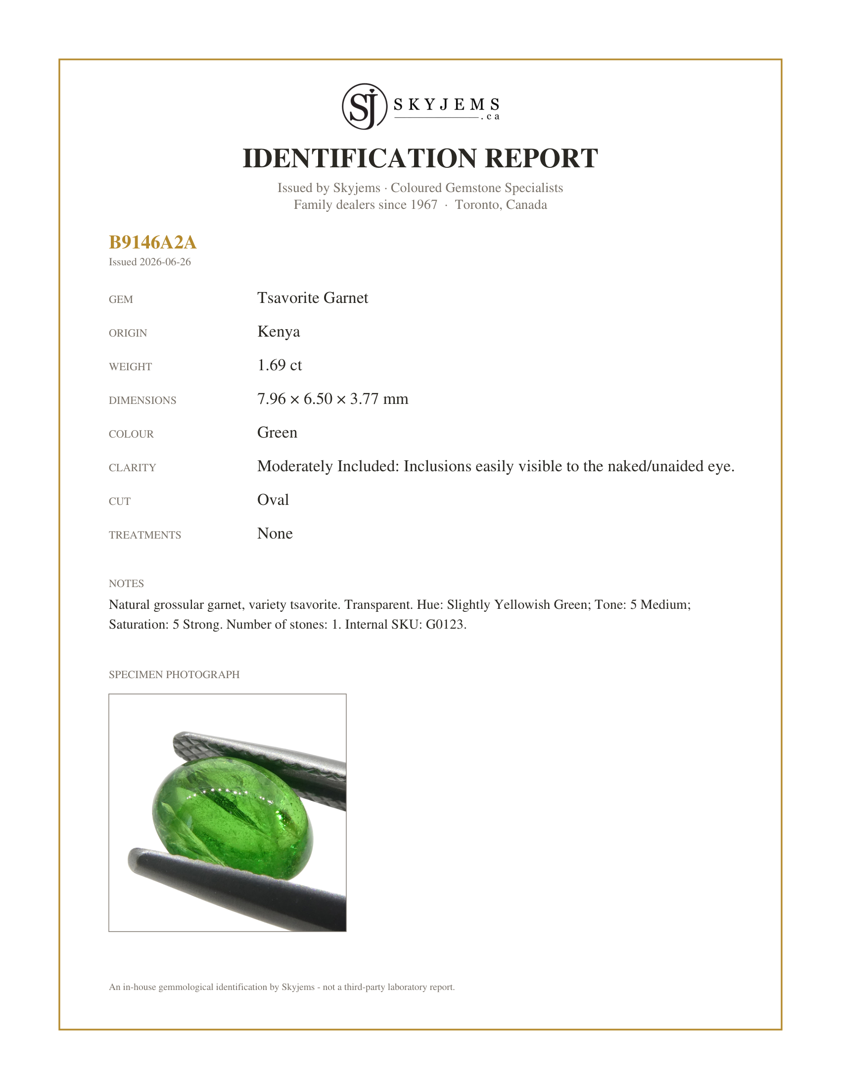 Skyjems Identification Report for G0123 — 1.69ct Oval Cabochon Green Tsavorite Garnet from Kenya, Unheated