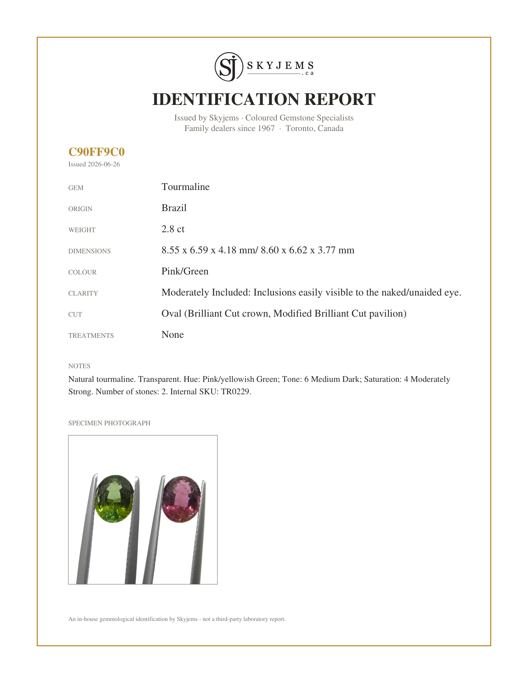 Skyjems Identification Report for TR0229 — 2.8ct Pair Oval Pink/Green Tourmaline