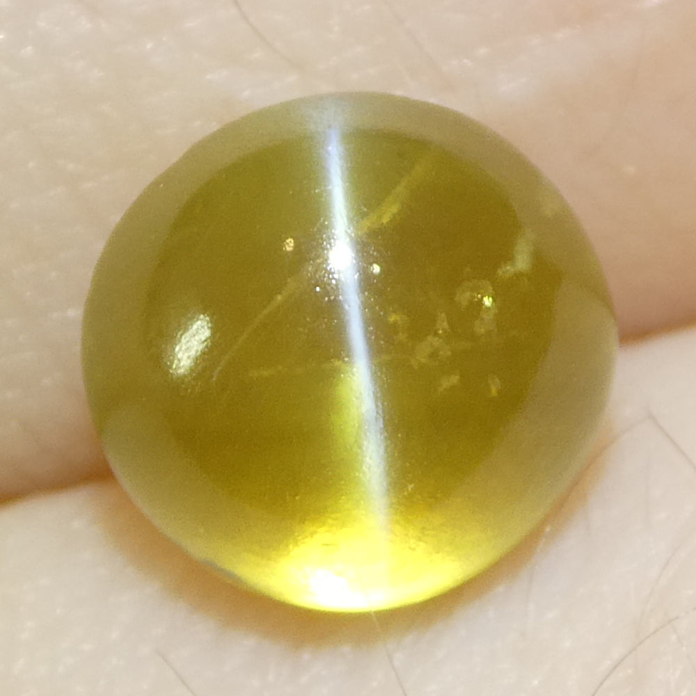 3.06ct Round Cabochon Greenish-Yellow Cats Eye Chrysoberyl - Skyjems Wholesale Gemstones