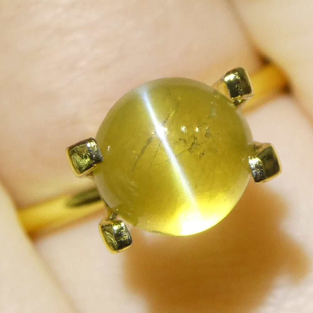 3.06ct Round Cabochon Greenish-Yellow Cats Eye Chrysoberyl - Skyjems Wholesale Gemstones