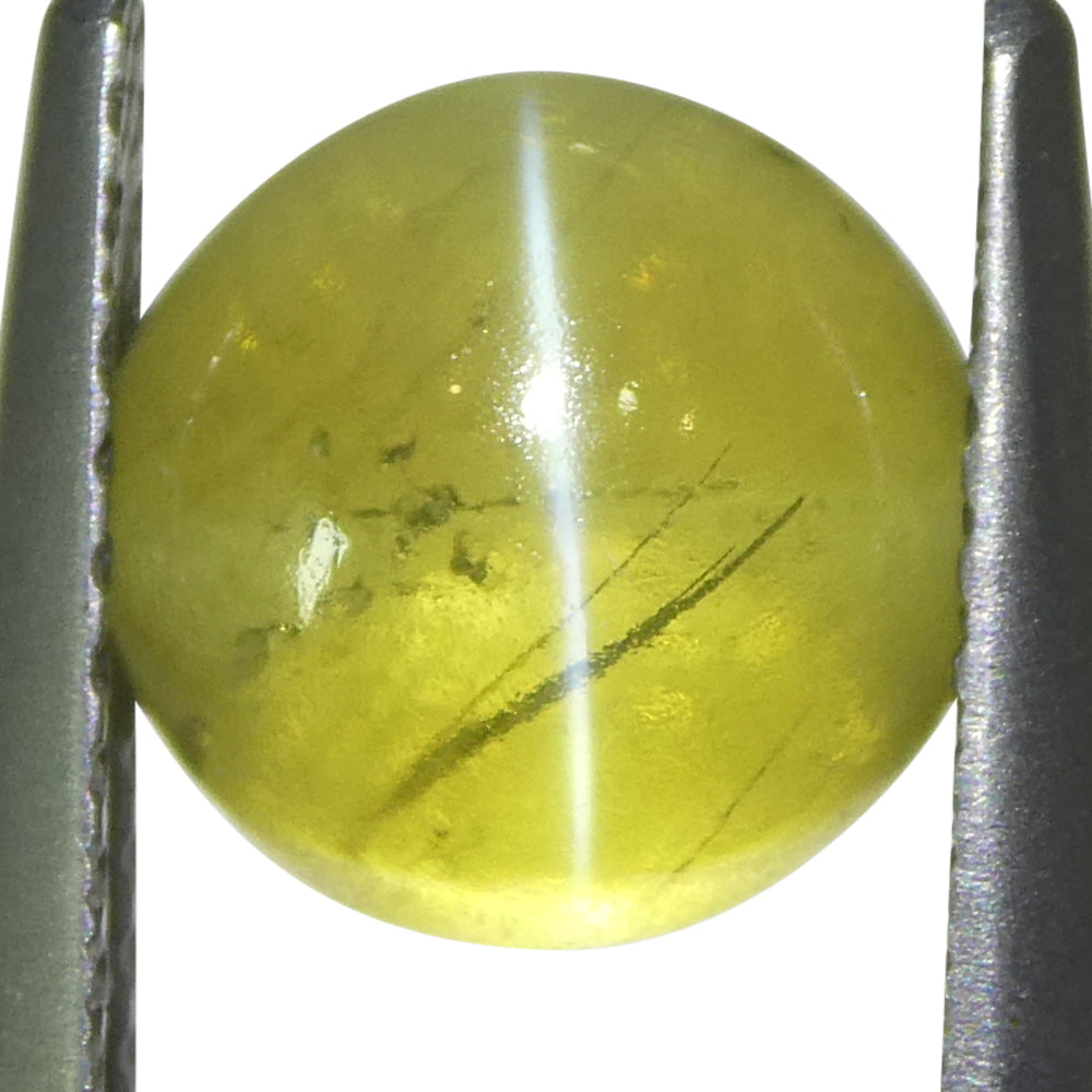 3.06ct Round Cabochon Greenish-Yellow Cats Eye Chrysoberyl - Skyjems Wholesale Gemstones