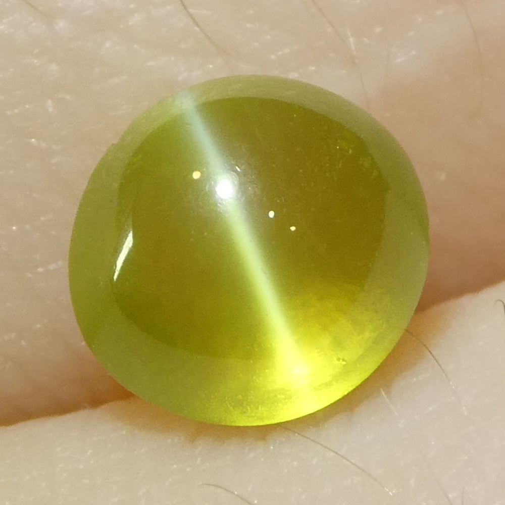 1.55ct Oval Cabochon Greenish Yellow Cats Eye Chrysoberyl - Skyjems Wholesale Gemstones