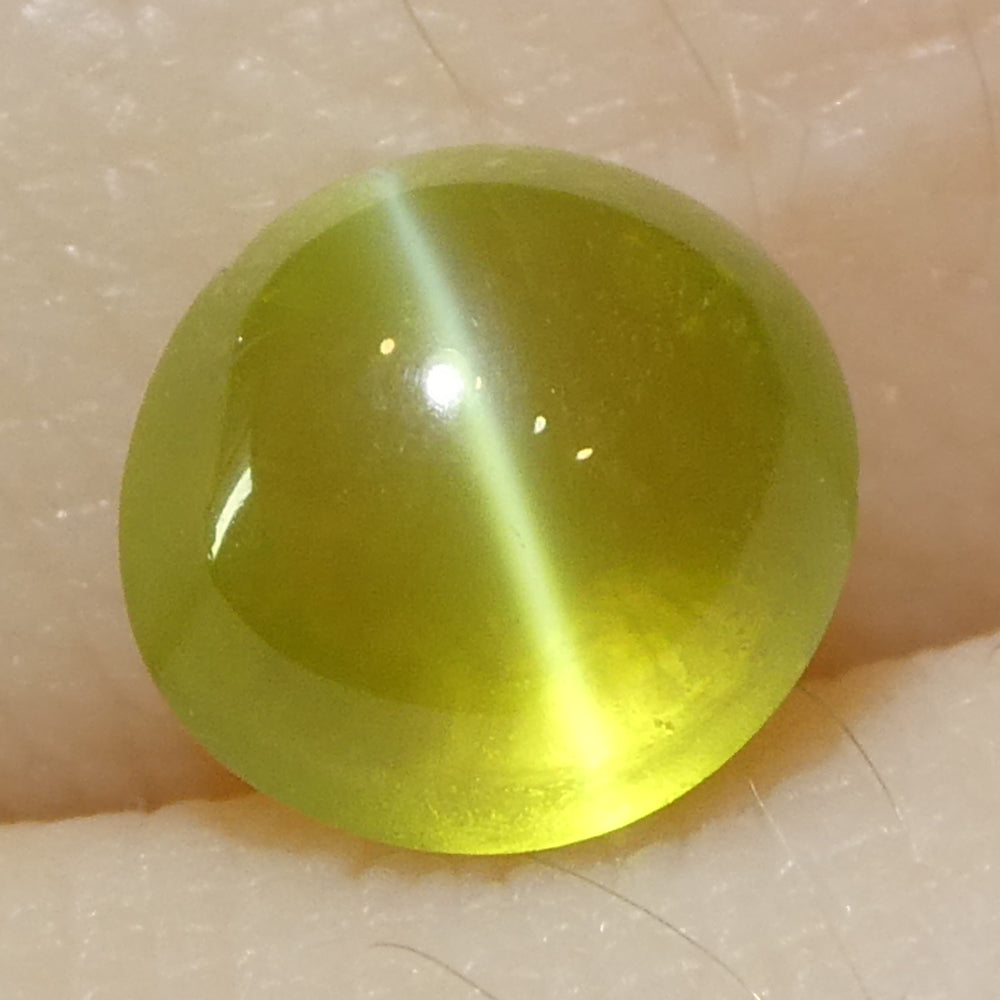 1.55ct Oval Cabochon Greenish Yellow Cats Eye Chrysoberyl - Skyjems Wholesale Gemstones