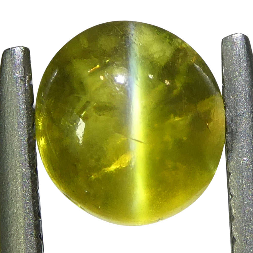 1.04ct Oval Cabochon Greenish-Yellow Cats Eye Chrysoberyl - Skyjems Wholesale Gemstones