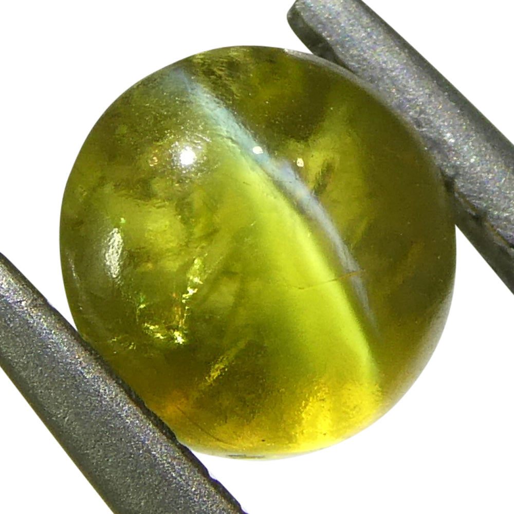 1.04ct Oval Cabochon Greenish-Yellow Cats Eye Chrysoberyl - Skyjems Wholesale Gemstones