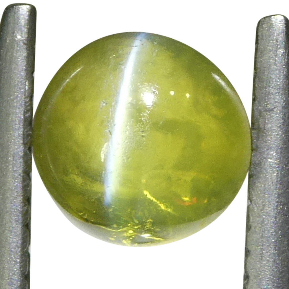 1.02ct Round Cabochon Greenish Yellow Cats Eye Chrysoberyl - Skyjems Wholesale Gemstones
