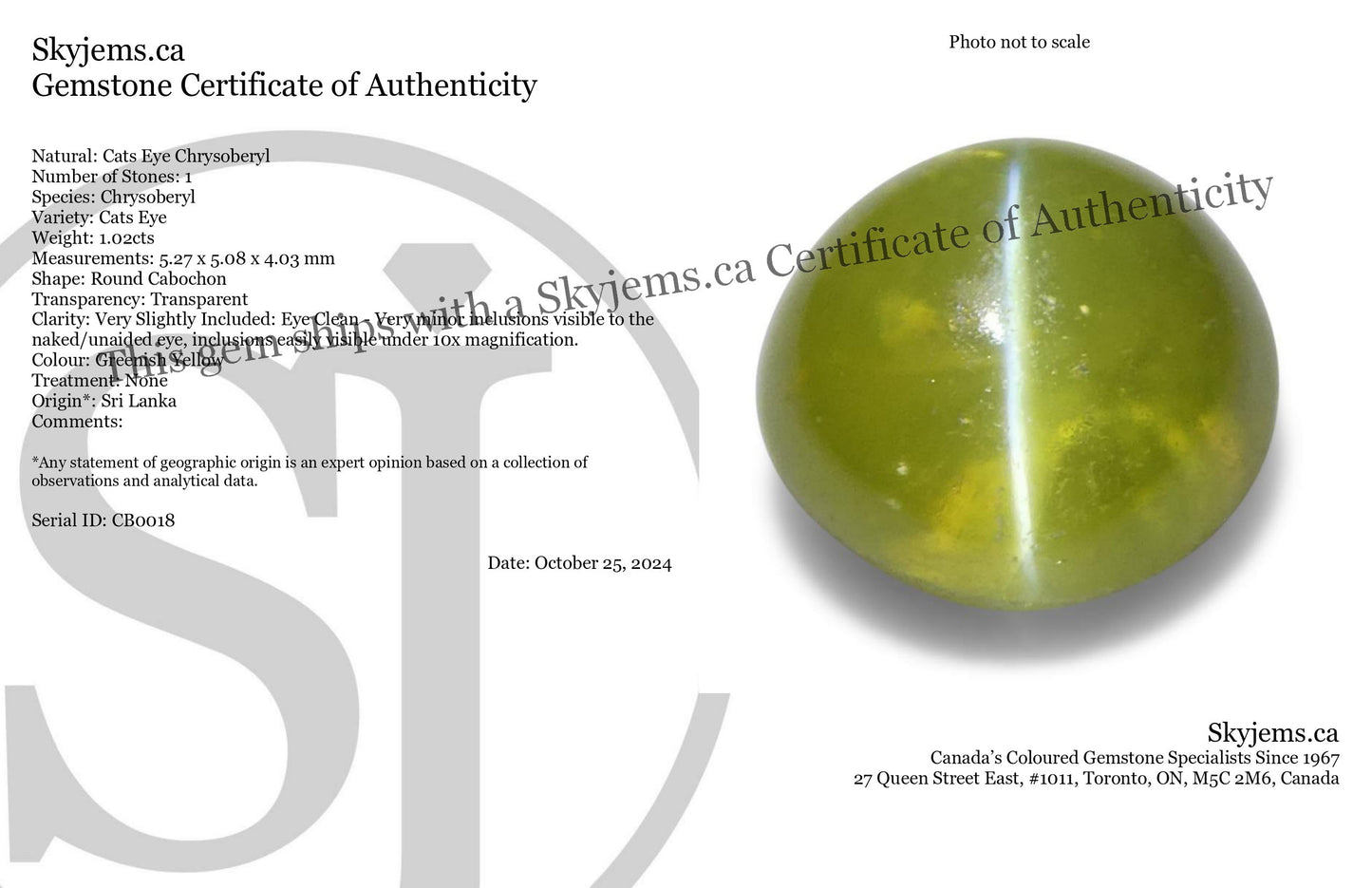 1.02ct Round Cabochon Greenish Yellow Cats Eye Chrysoberyl - Skyjems Wholesale Gemstones