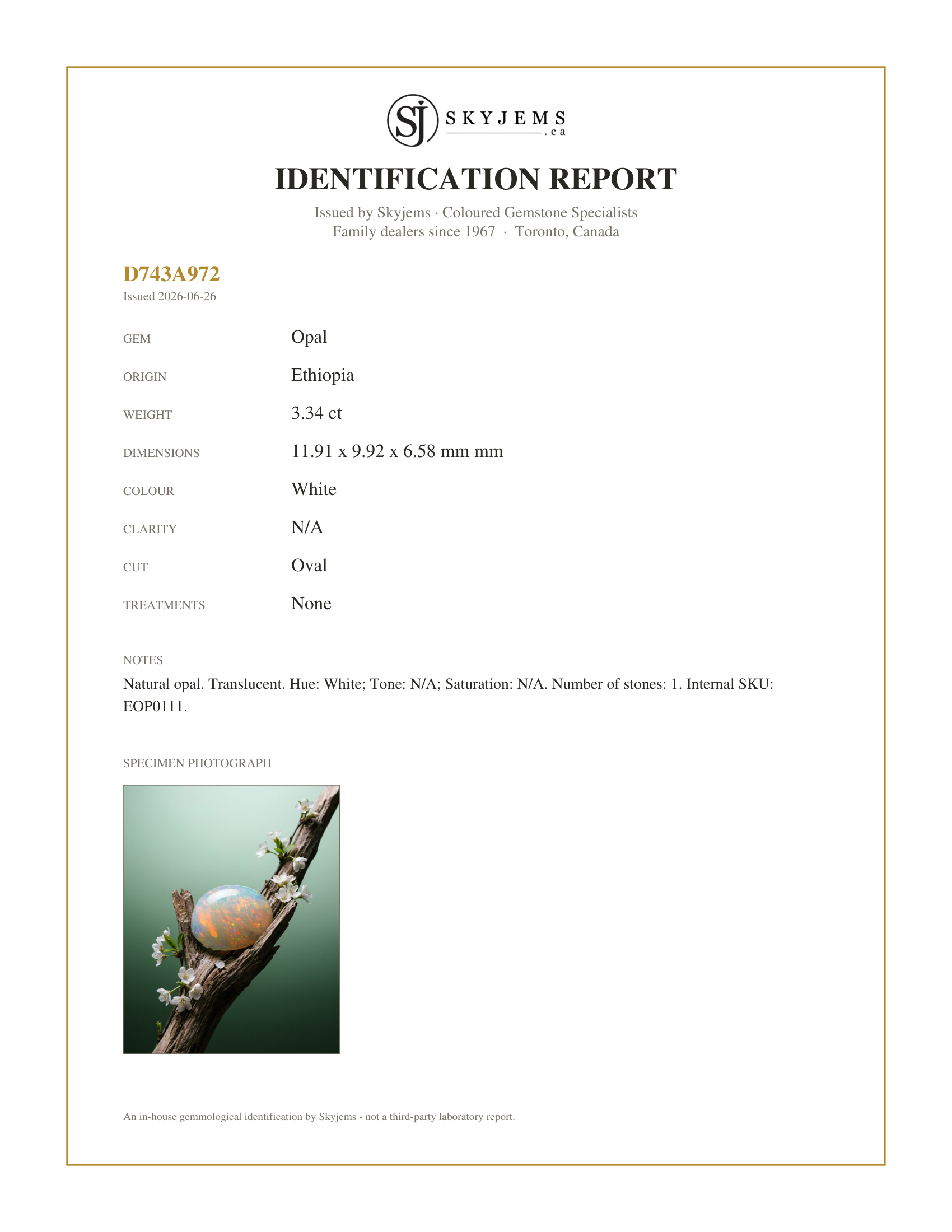 Skyjems Identification Report for EOP0111 — 3.34ct Oval Cabochon White Welo Opal from Ethiopia
