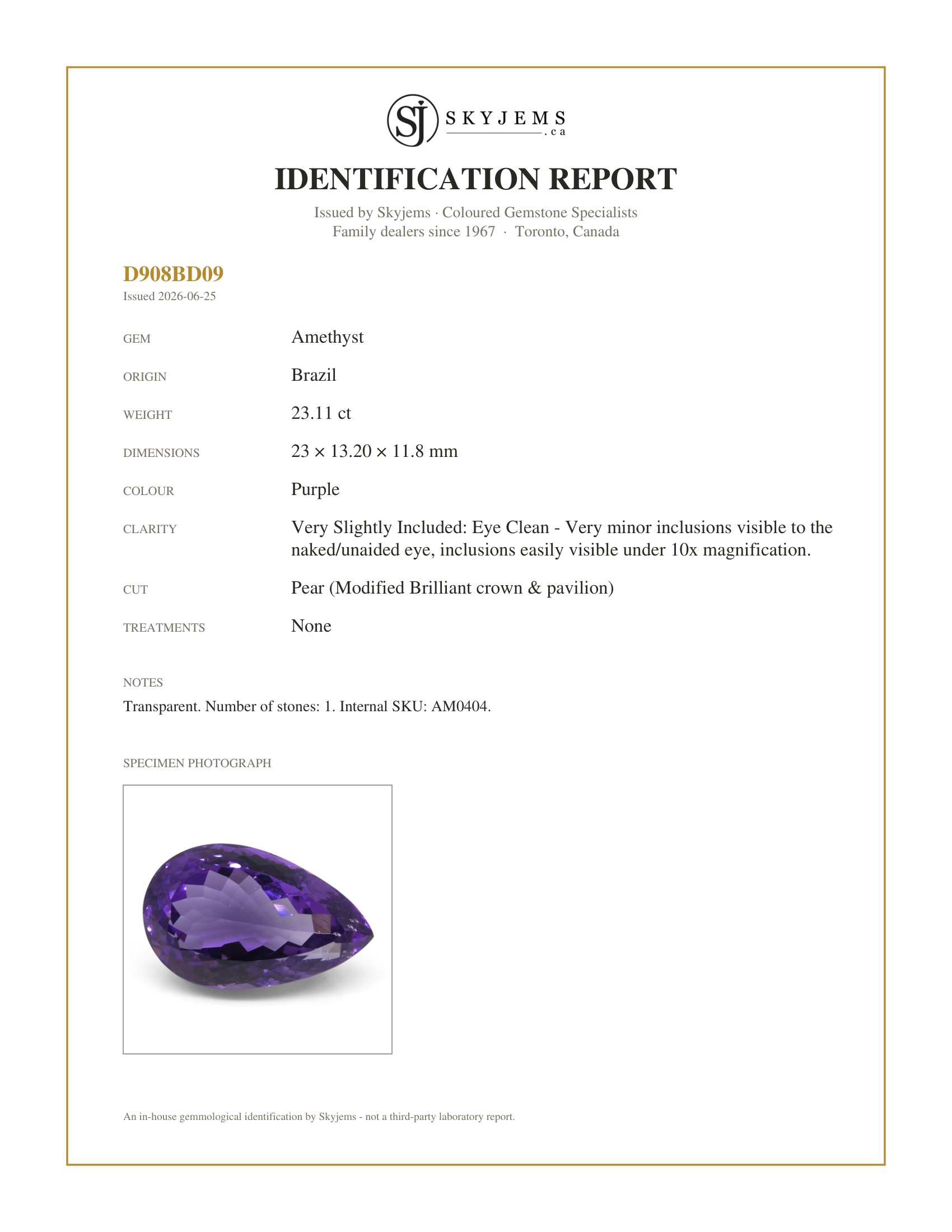 Skyjems Identification Report for AM0404 — 23.11 ct Pear Amethyst