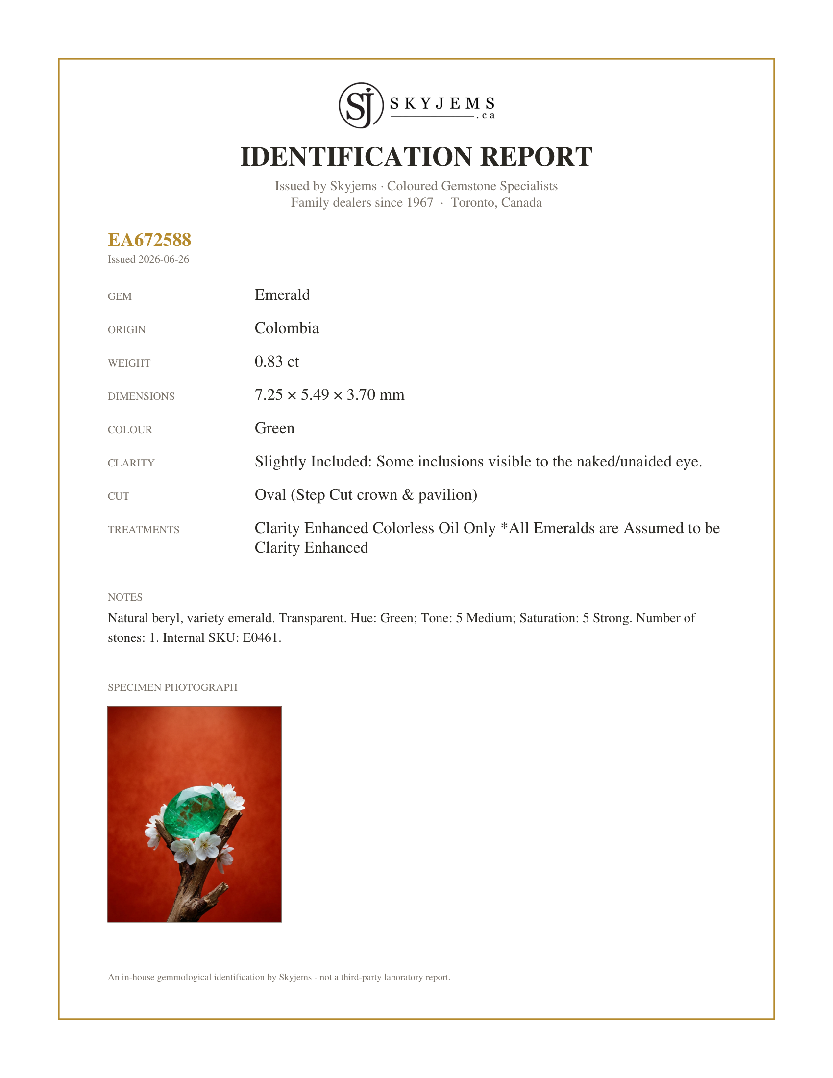 Skyjems Identification Report for E0461 — 0.83ct Oval Green Emerald from Colombia