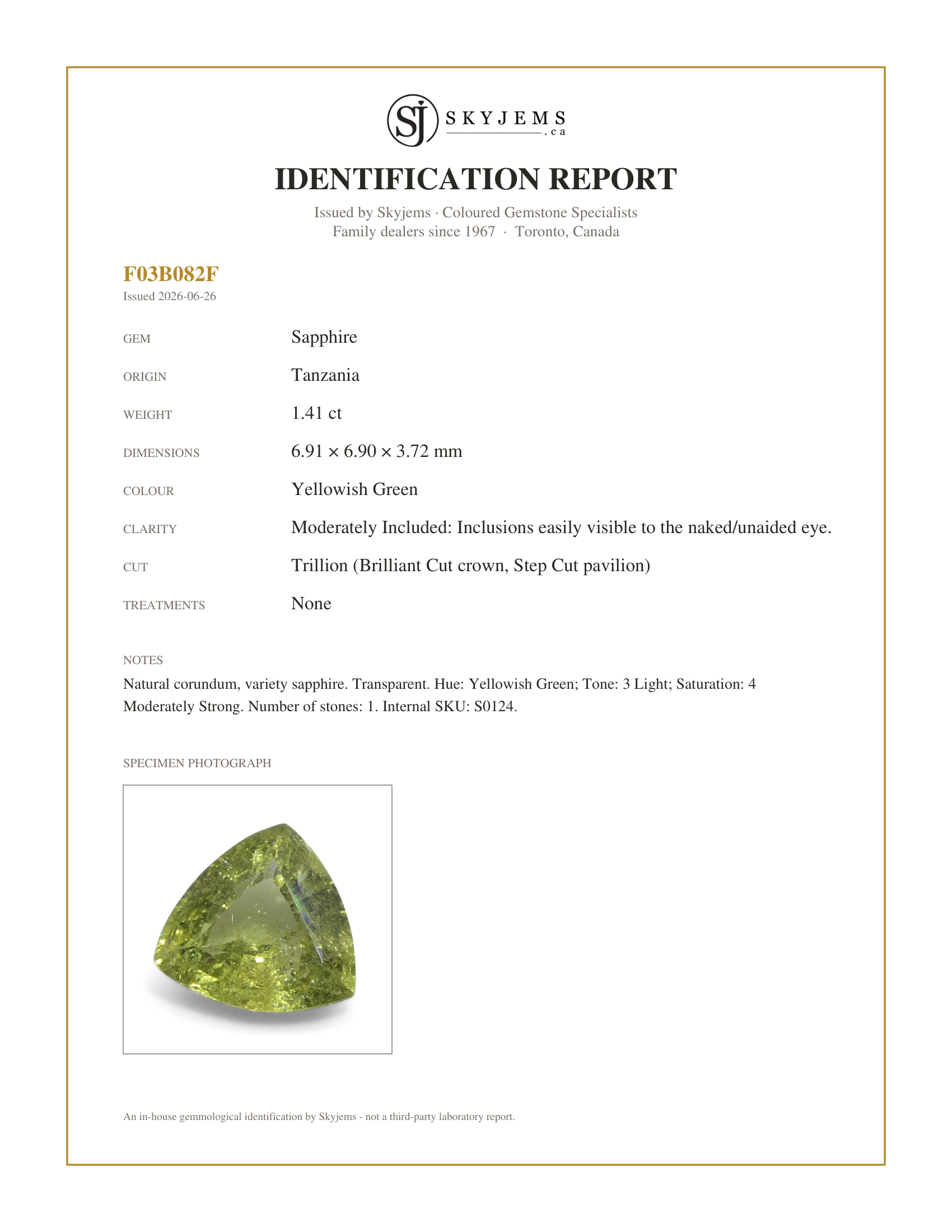 Skyjems Identification Report for S0124 — 1.41ct Trillion Green Sapphire from Tanzania Unheated