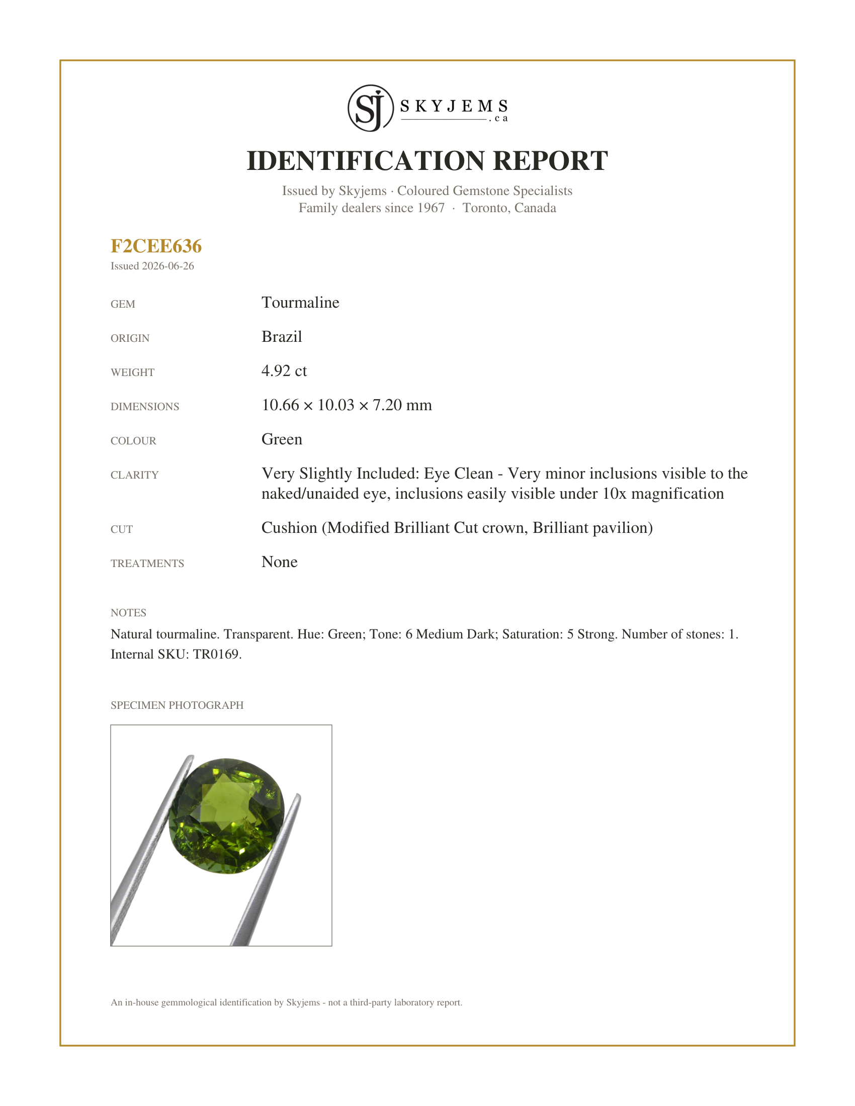 Skyjems Identification Report for TR0169 — 4.92ct Cushion Green Tourmaline