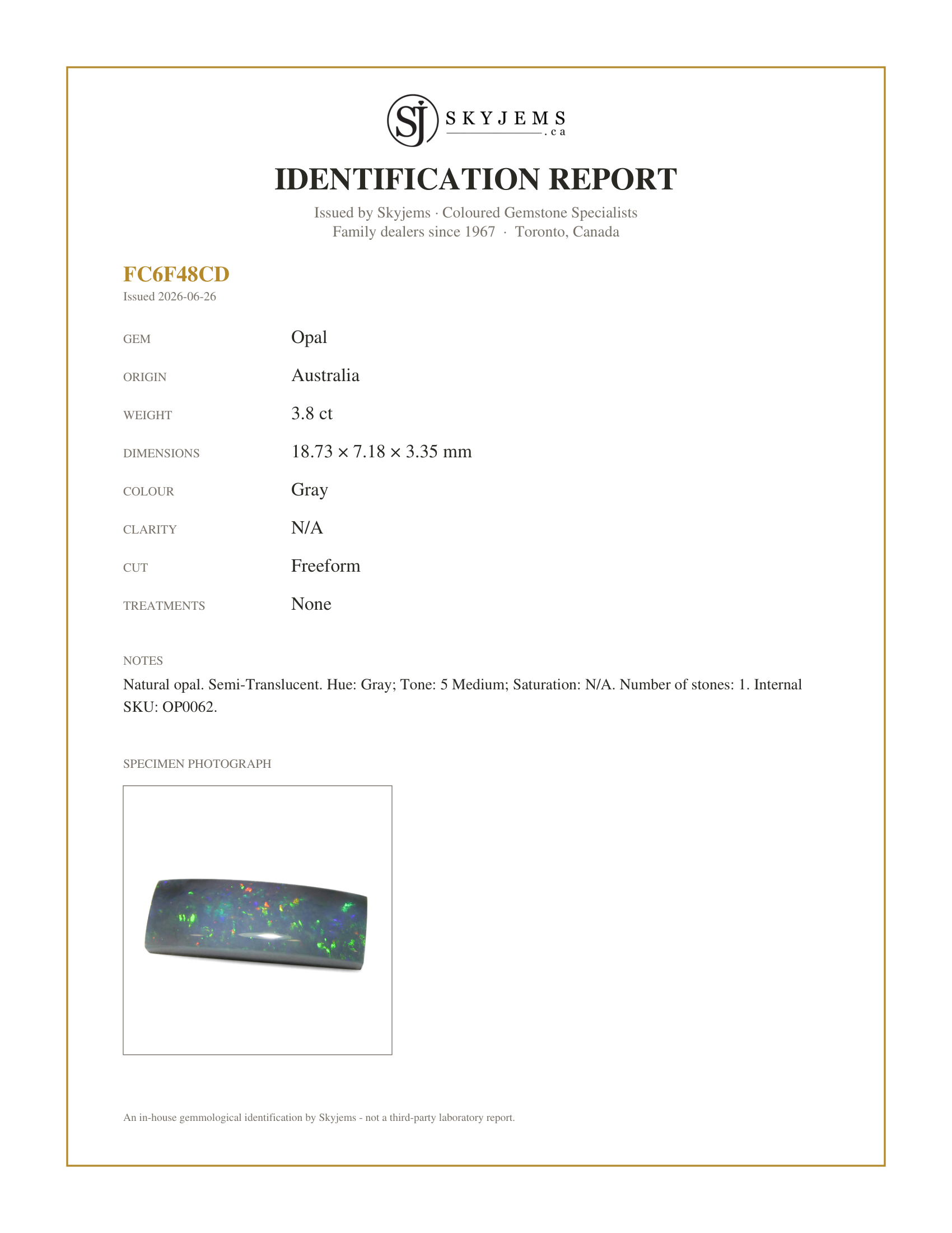 Skyjems Identification Report for OP0062 — 3.8ct Freeform Cabochon Gray Opal from Australia