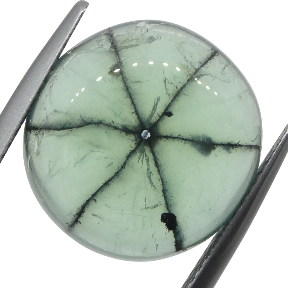 11.08ct Round Green and Black Trapiche Emerald GIA Certified Colombia (F1) - Skyjems Wholesale Gemstones