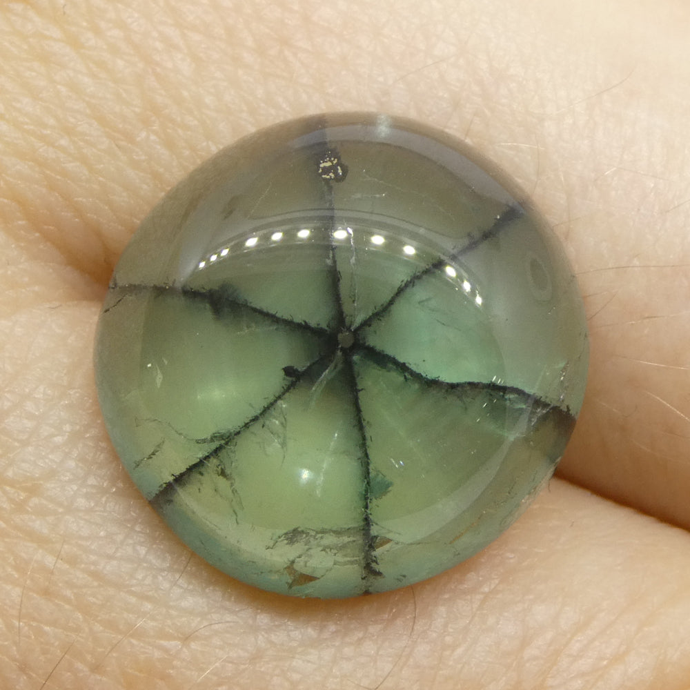11.08ct Round Green and Black Trapiche Emerald GIA Certified Colombia (F1) - Skyjems Wholesale Gemstones