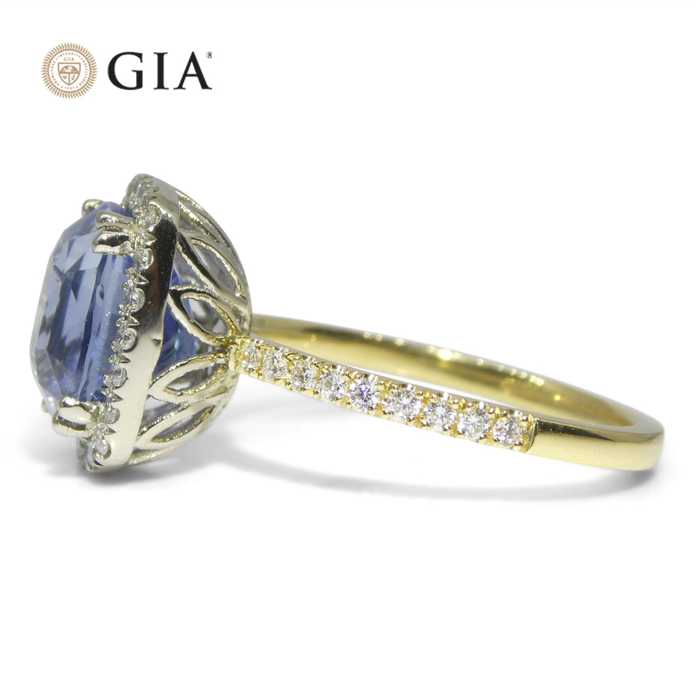 4.35ct Cushion Blue Sapphire, Diamond Ring set in 18k White and Yellow Gold, GIA Certified Unheated, Sri Lanka - Skyjems Wholesale Gemstones