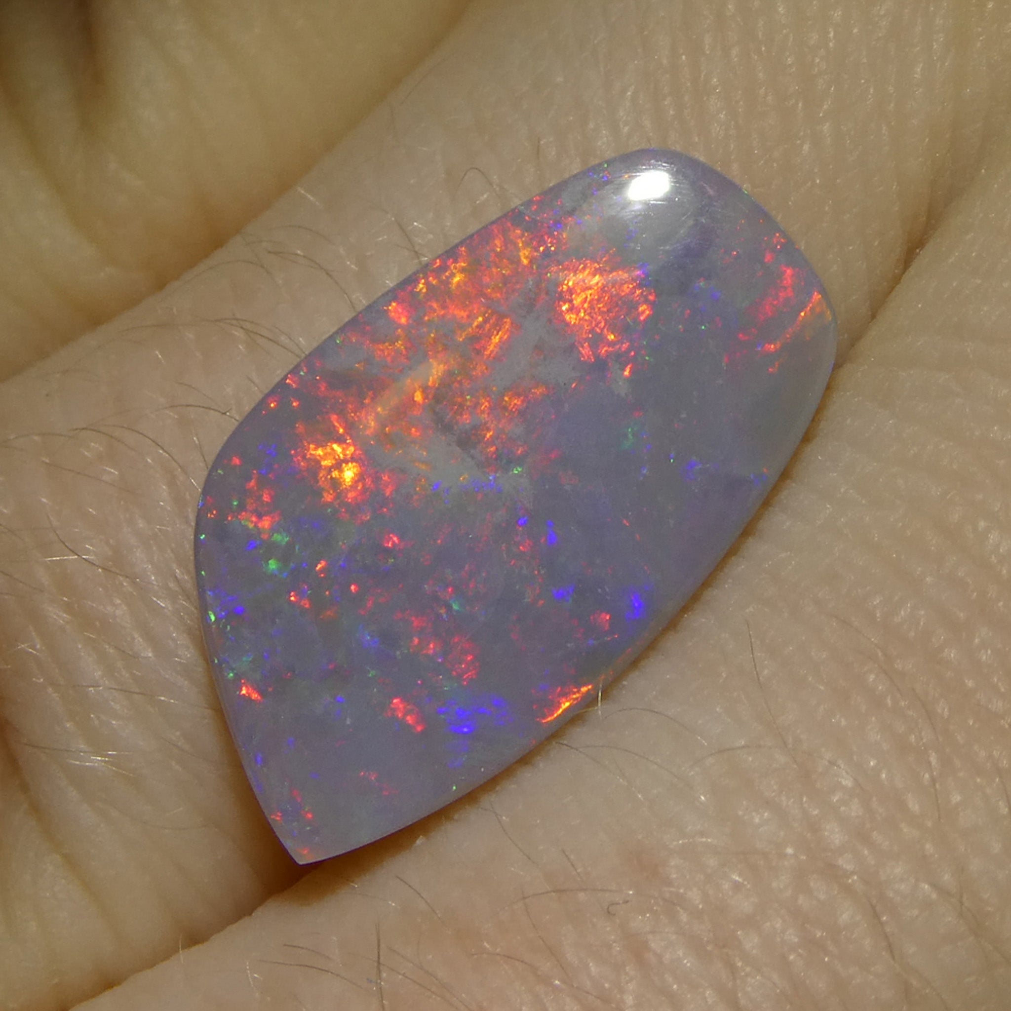 3.98ct Gray Australian Opal Cabochon with Play of Color from SkyJems Rare Gemstones Collection