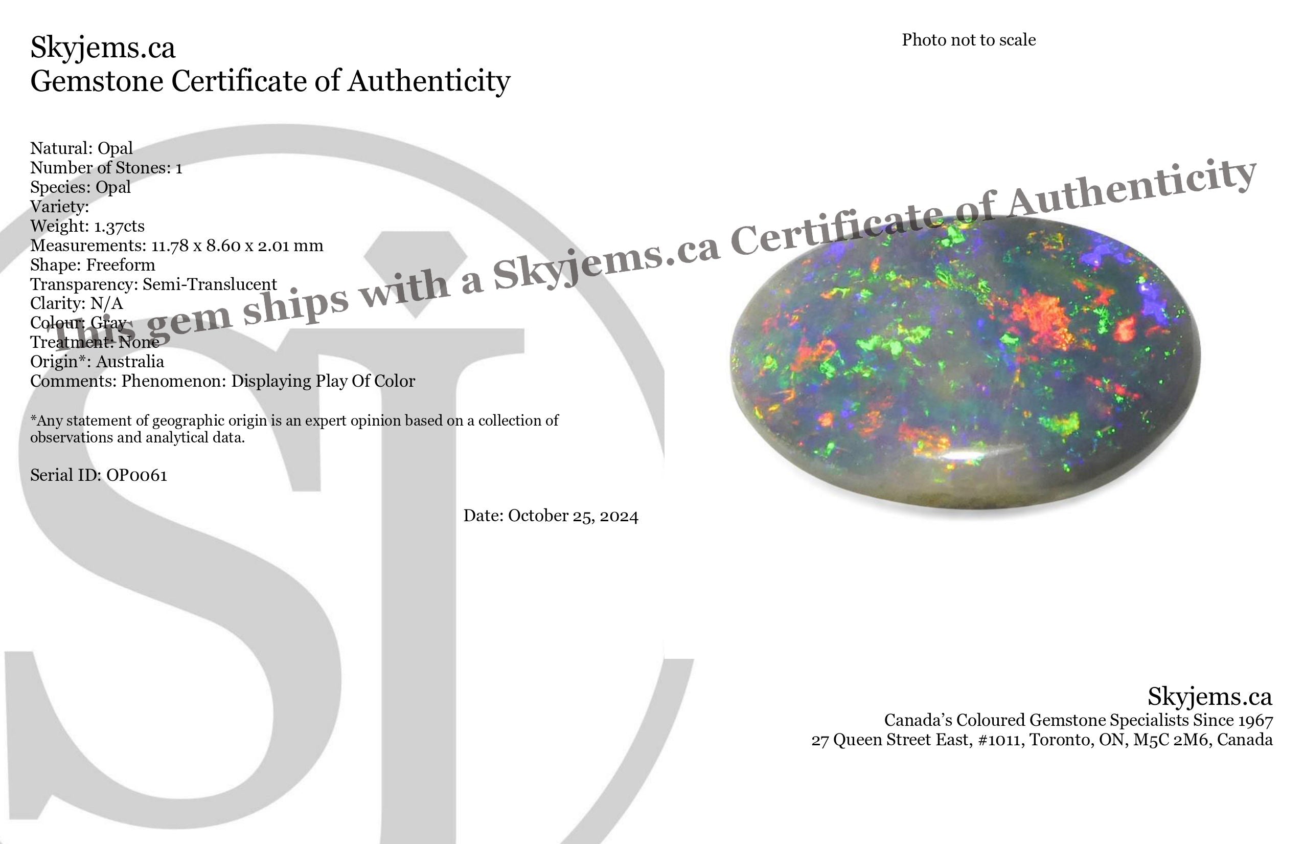 1.37ct Freeform Gray Australian Opal Cabochon with Play of Color | Premium Gemstone by SkyJems