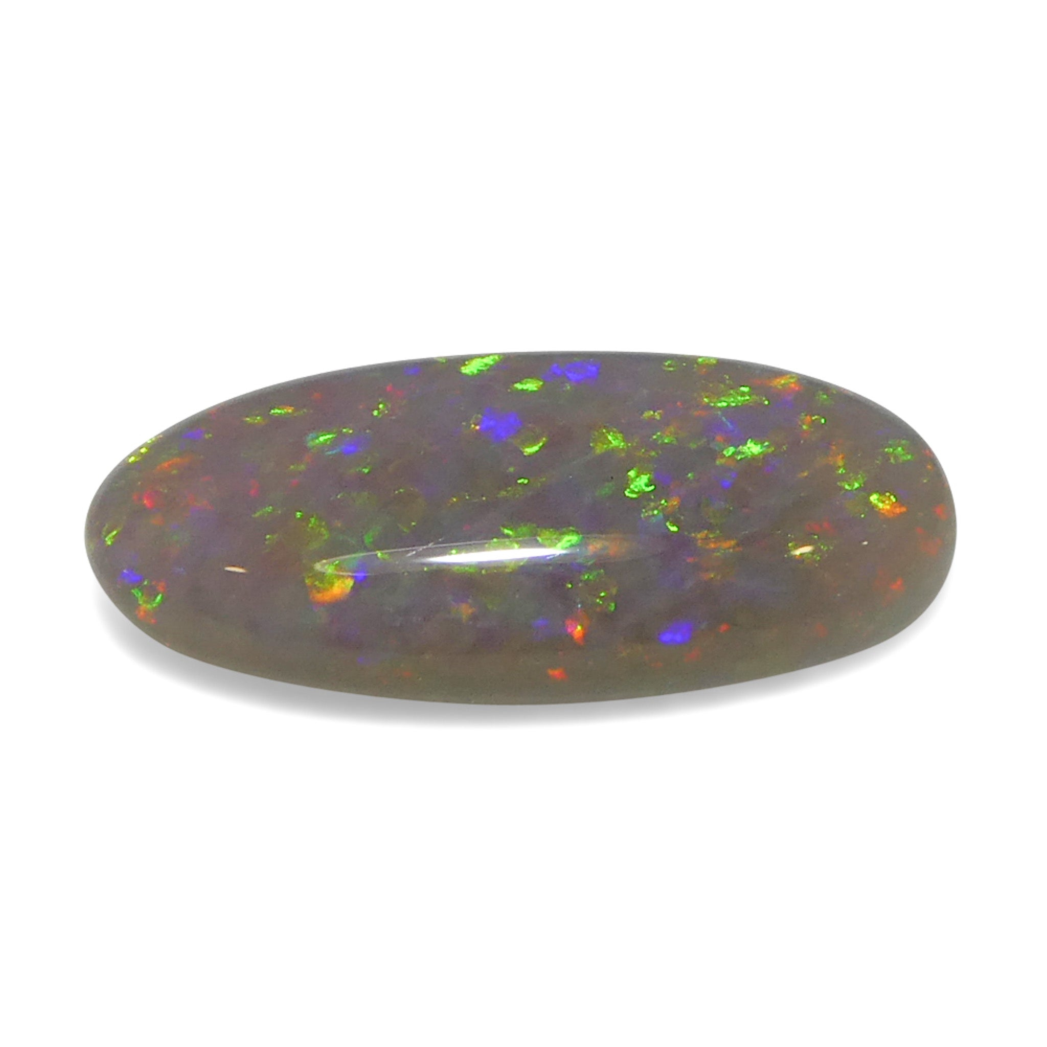 0.62ct White Opal Cabochon with Play of Color from Australia, premium gemstone by SkyJems Canadian gem specialists