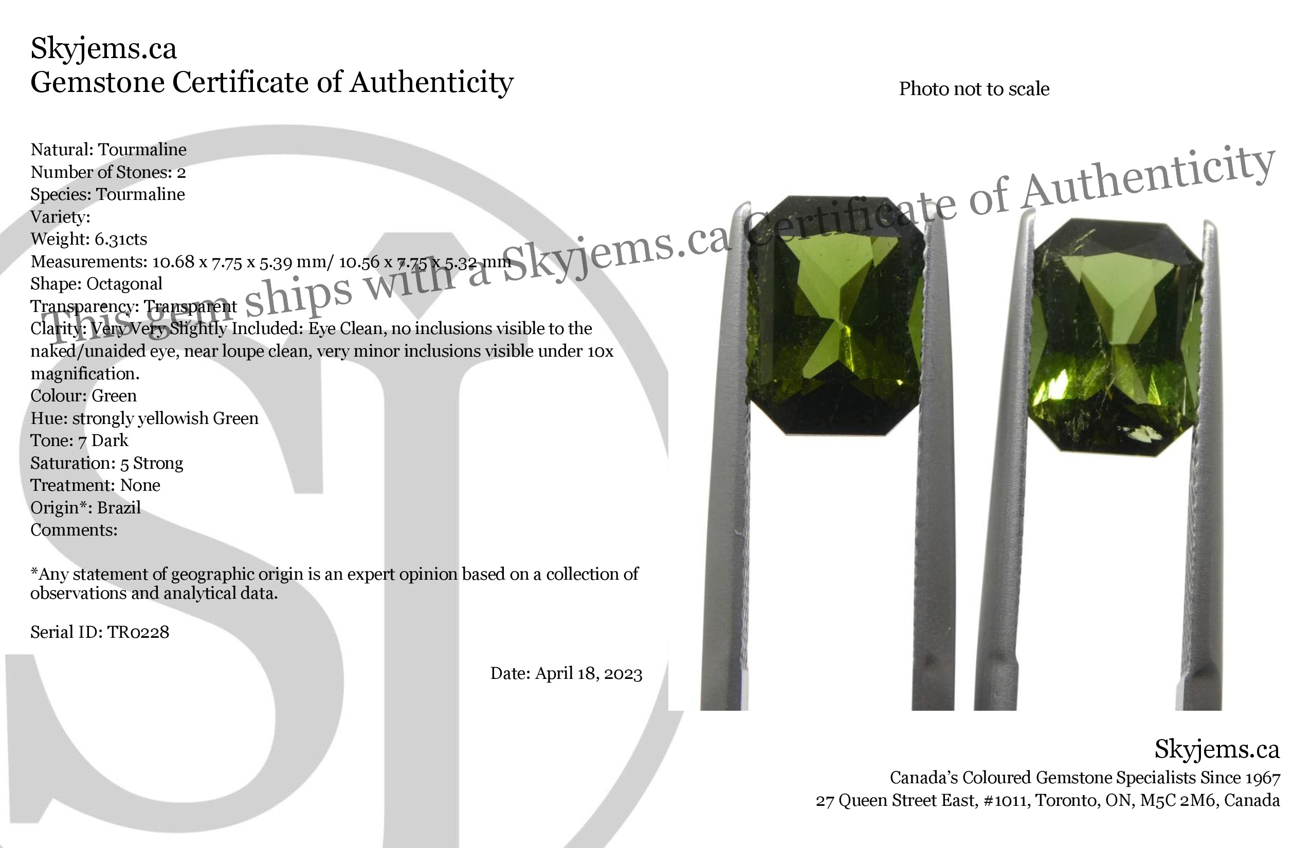 6.31ct Pair Scissor Cut/Octagonal Green Tourmaline from Brazil - Skyjems Wholesale Gemstones