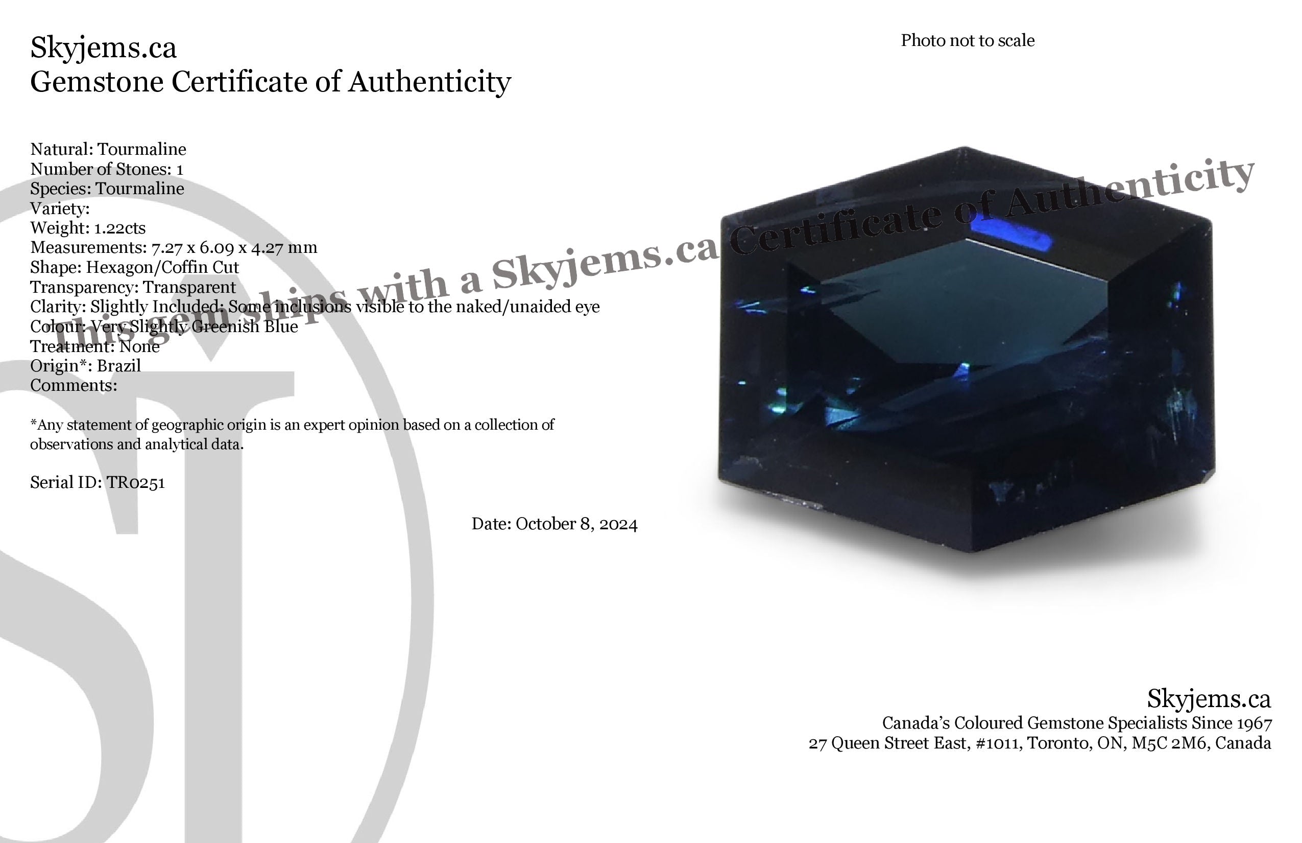 1.22ct Hexagon/Coffin Cut Blue Indicolite Tourmaline - Skyjems Wholesale Gemstones