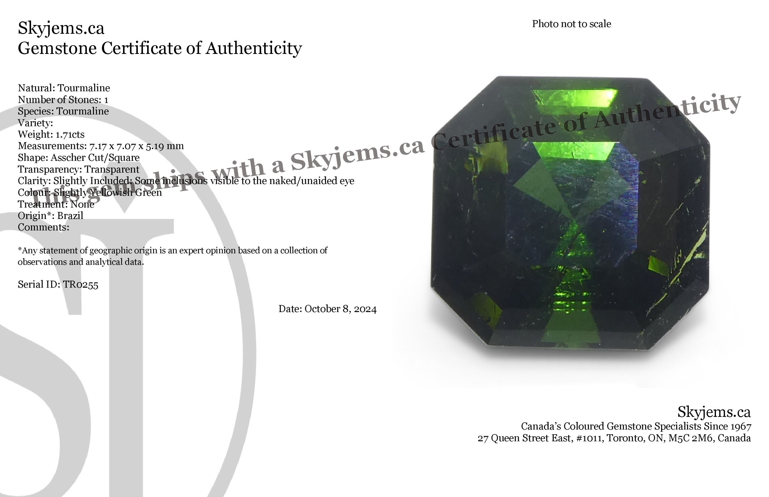 1.71ct Asscher Cut/Square Green Tourmaline - Skyjems Wholesale Gemstones