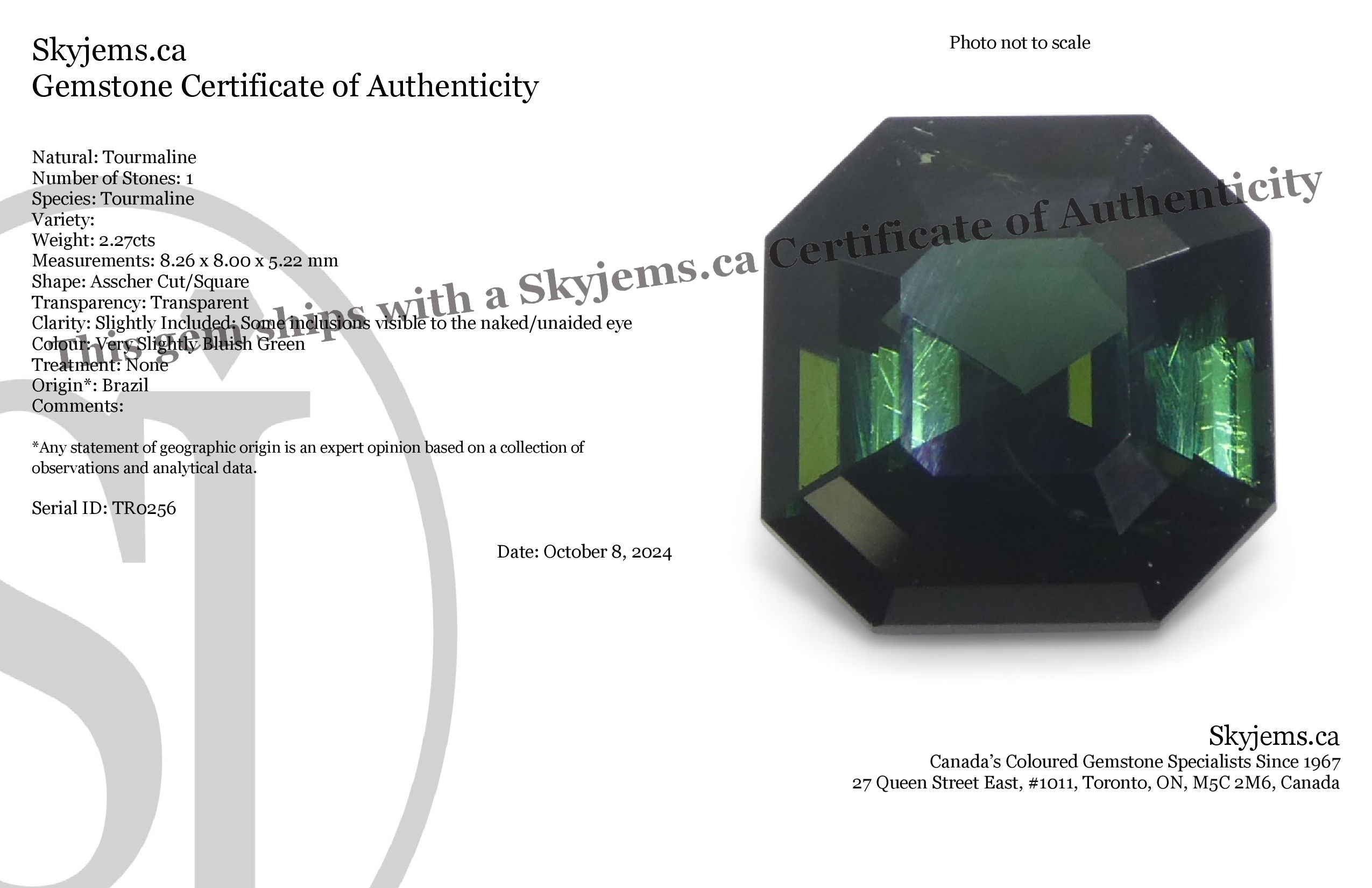 2.27ct Asscher Cut/Square Green Tourmaline - Skyjems Wholesale Gemstones