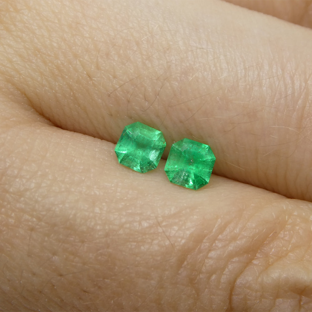 0.69ct Colombian Green Emerald Pair, Square Step Cut Gemstone from SkyJems Rare Gem Collection