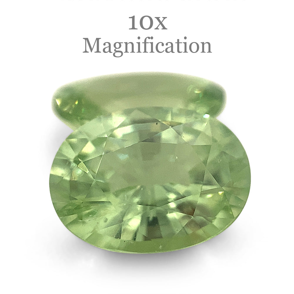 4.33ct Oval Mint Green Tsavorite Garnet Pair from Tanzania, rare gemstone by SkyJems Canadian gem specialists