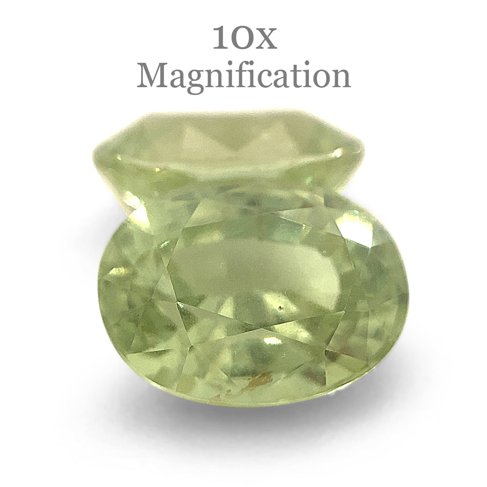 SkyJems 5.79ct Oval Mint Green Tsavorite Garnet Pair from Tanzania, rare gemstone with vibrant color