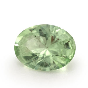 1.12ct Oval Mint Green Garnet from Merelani, Tanzania - Skyjems Wholesale Gemstones