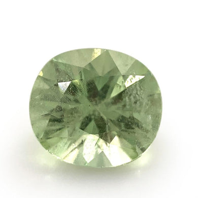 2.34ct Oval Mint Green Garnet from Merelani, Tanzania - Skyjems Wholesale Gemstones