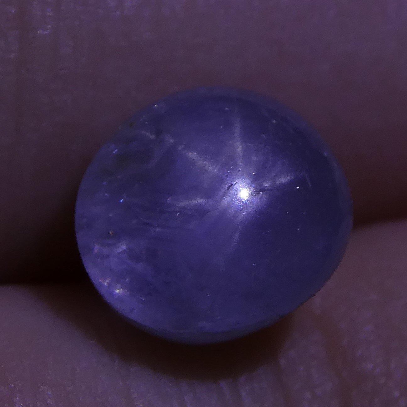 3.12 ct Blue Ceylon Star Sapphire, unheated oval cabochon with asterism, rare gem from Sri Lanka by SkyJems