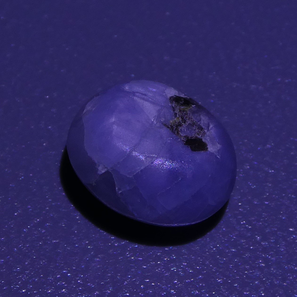 Rare 3.60 ct Blue Ceylon Star Sapphire, unheated oval cabochon with asterism, SkyJems premium gemstone collection