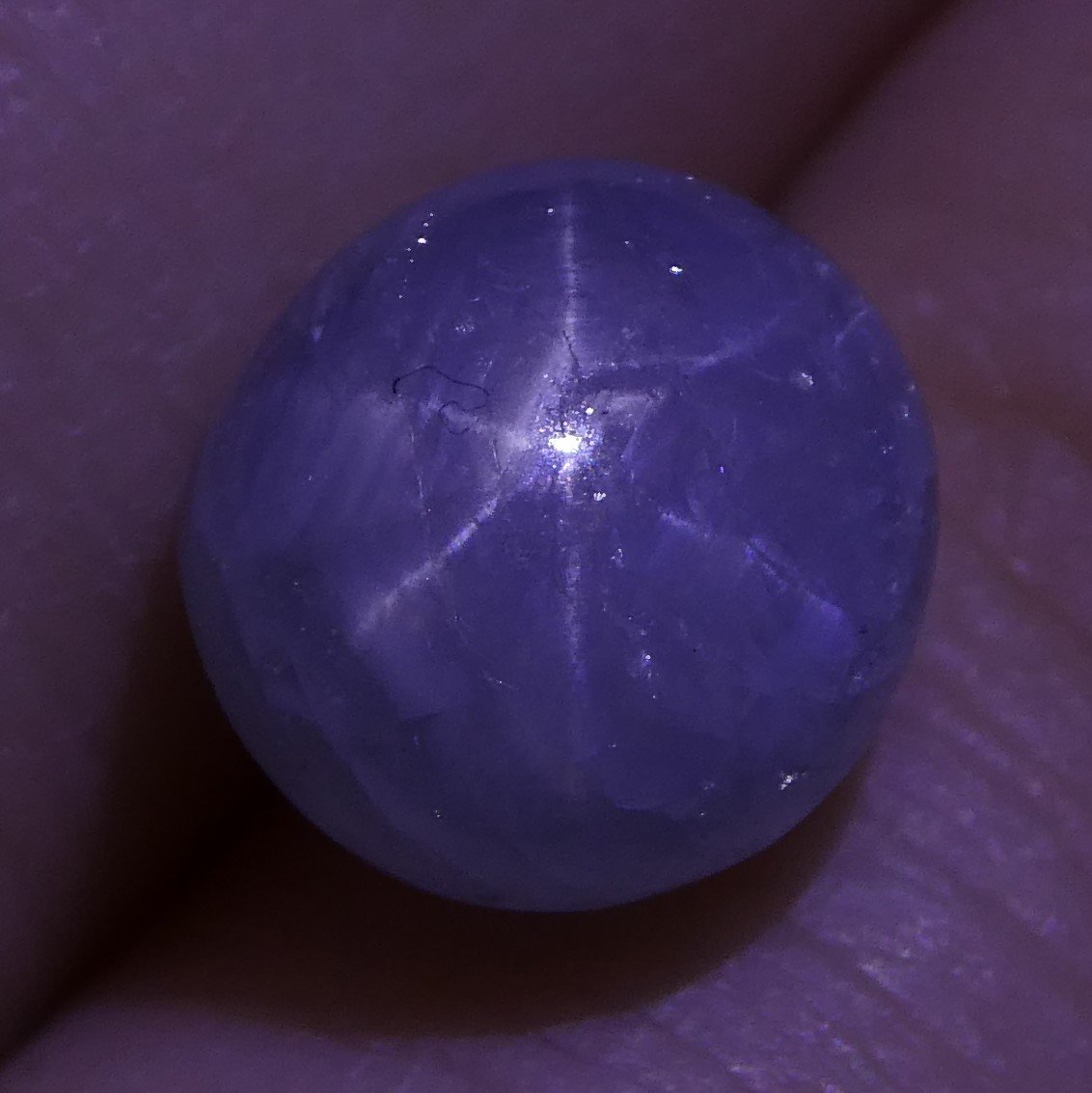 Rare 3.81 ct Blue Ceylon Star Sapphire, unheated oval cabochon with asterism, SkyJems premium gemstone collection